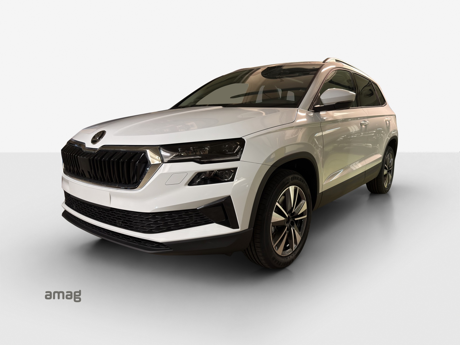 SKODA Karoq 1.5 TSI Dynamic DSG-image-0