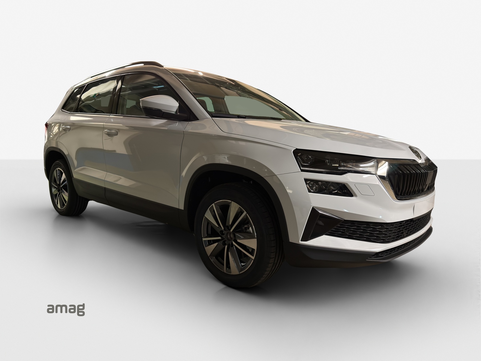 SKODA Karoq 1.5 TSI Dynamic DSG-image-5