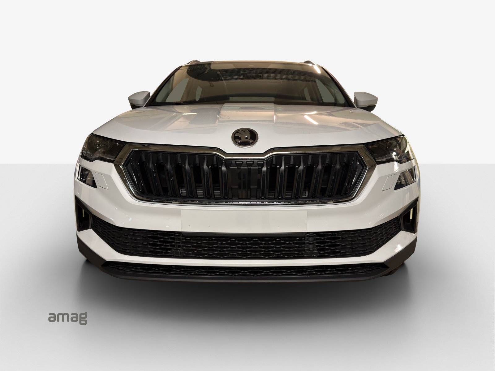 SKODA Karoq 1.5 TSI Dynamic DSG-image-6