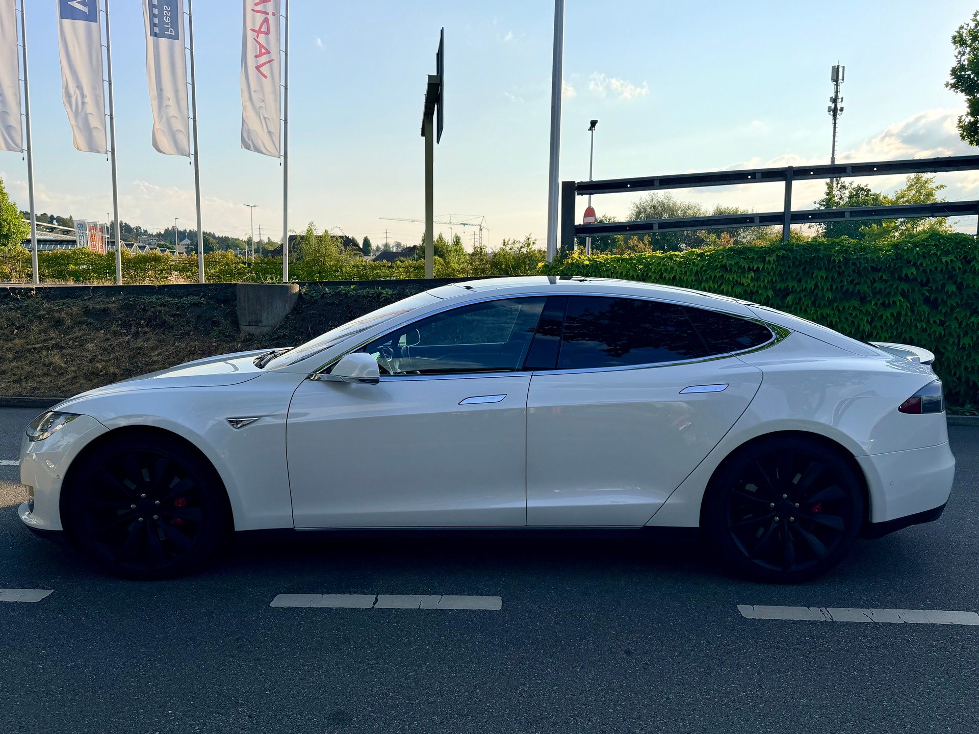 TESLA Model S 85 D Performance-image-6