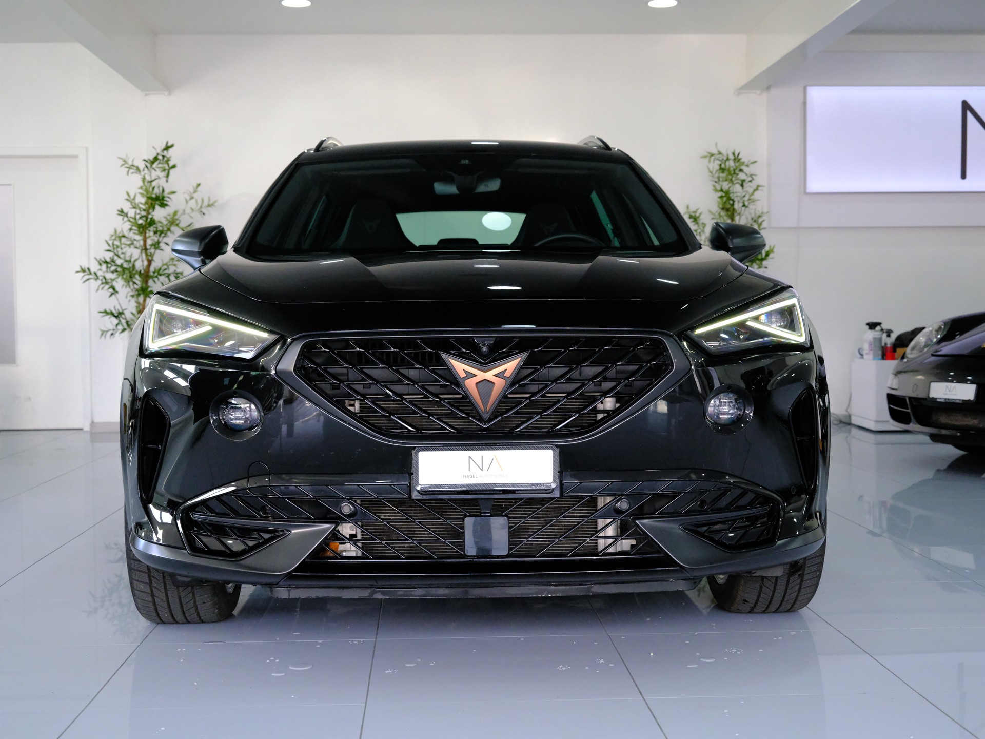 CUPRA Formentor 2.0TSI Tribe Edition DSG-image-2