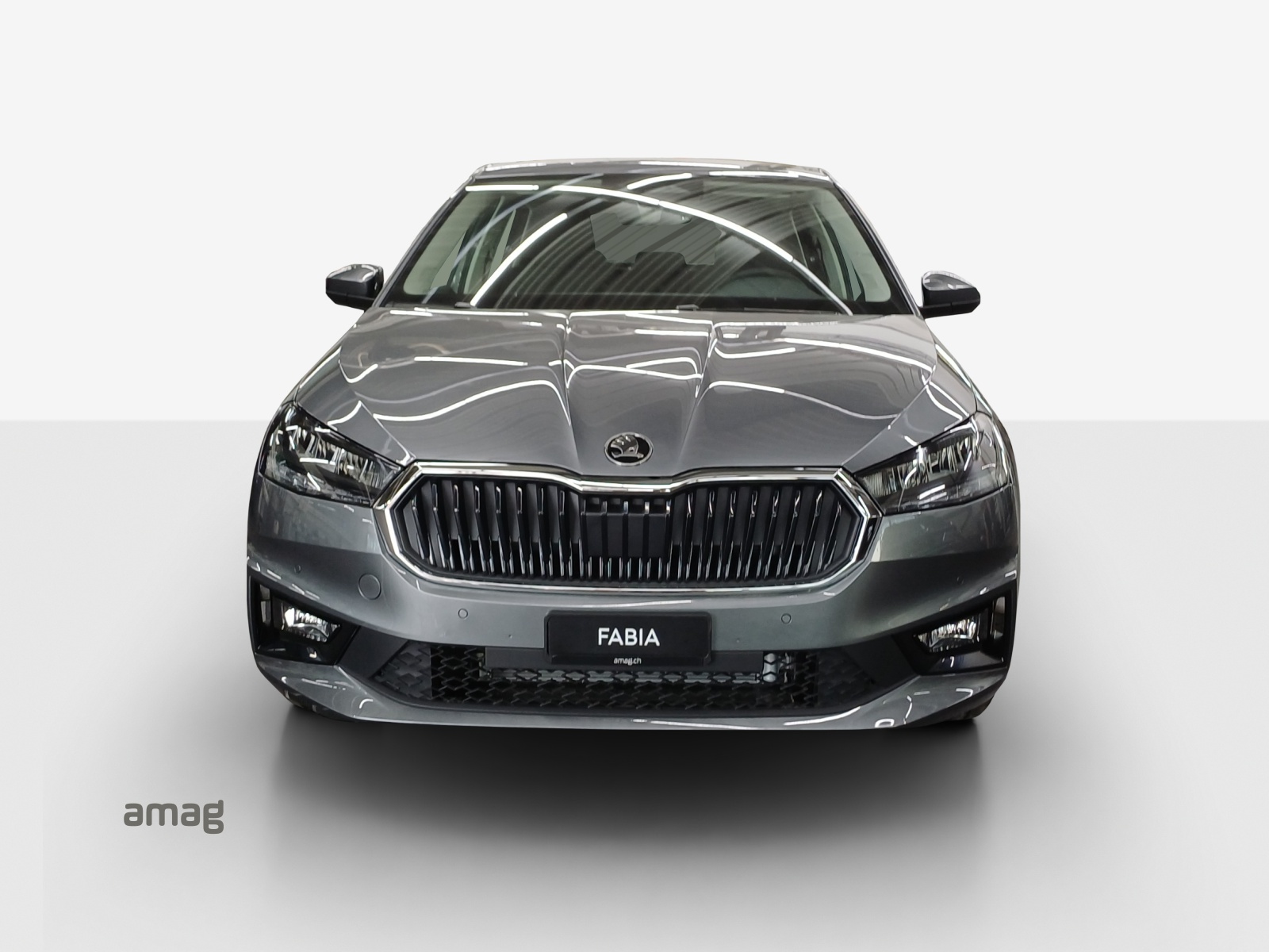 SKODA Fabia 1.0 TSI Selection-image-6