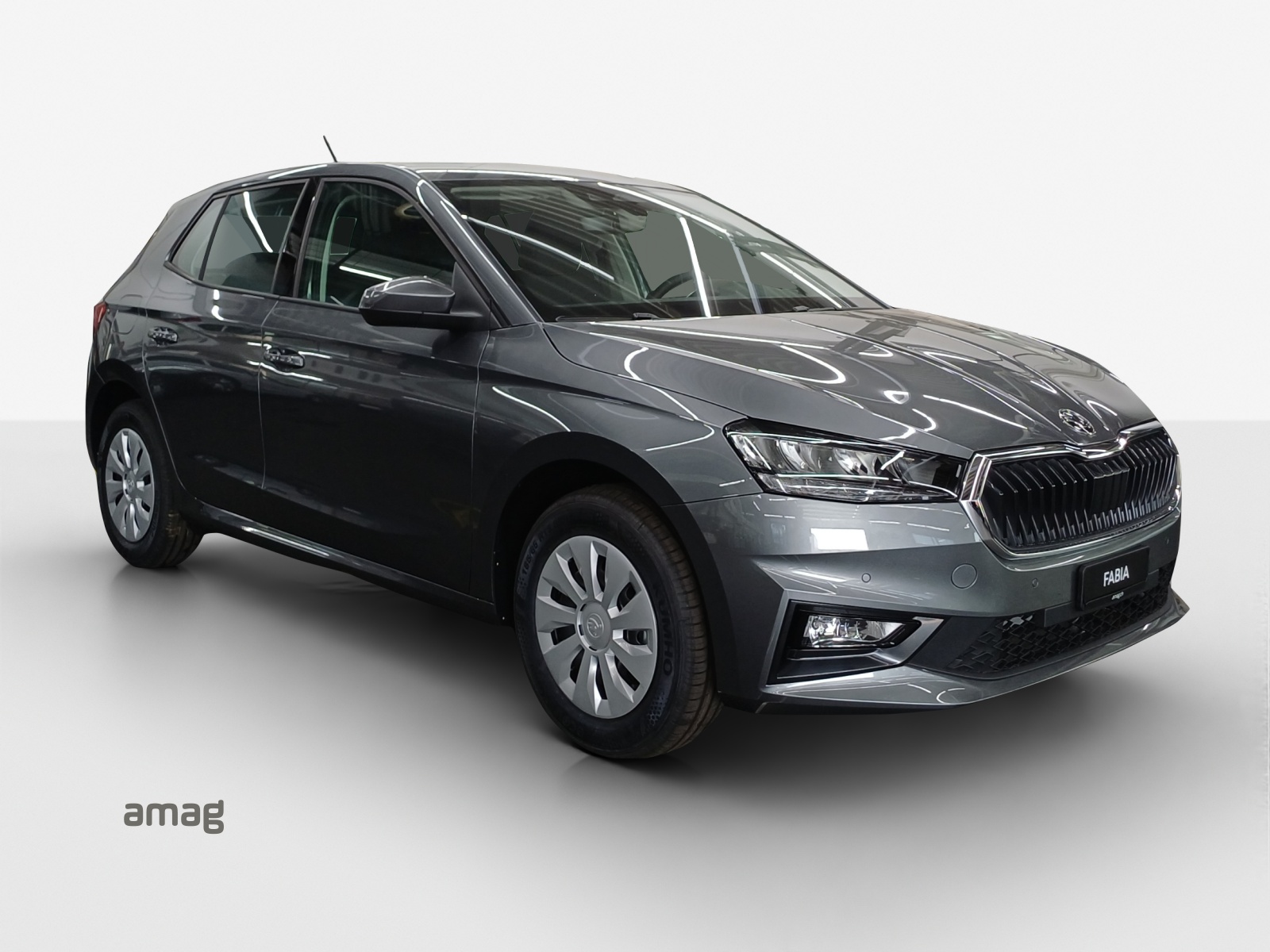 SKODA Fabia 1.0 TSI Selection-image-5