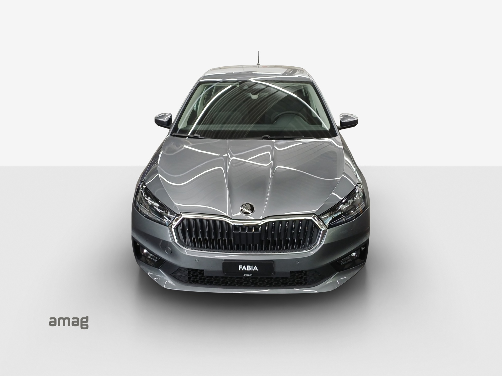 SKODA Fabia 1.0 TSI Selection-image-13