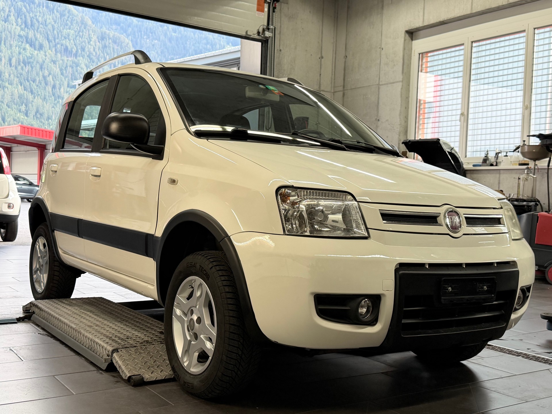 FIAT Panda 1.3 16V JTD Freestyle 4x4-image-3