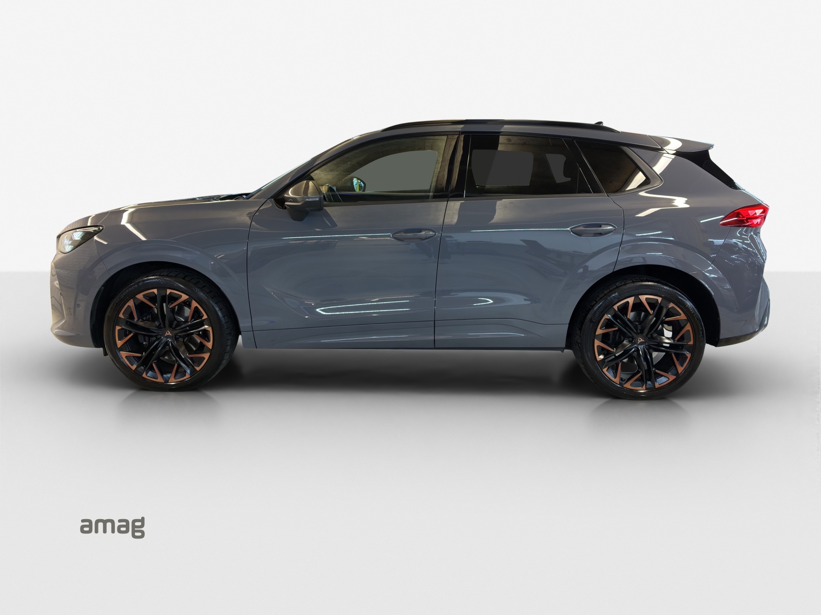 CUPRA Terramar 2.0 TSI DSG 4Drive Americas CUP-image-1