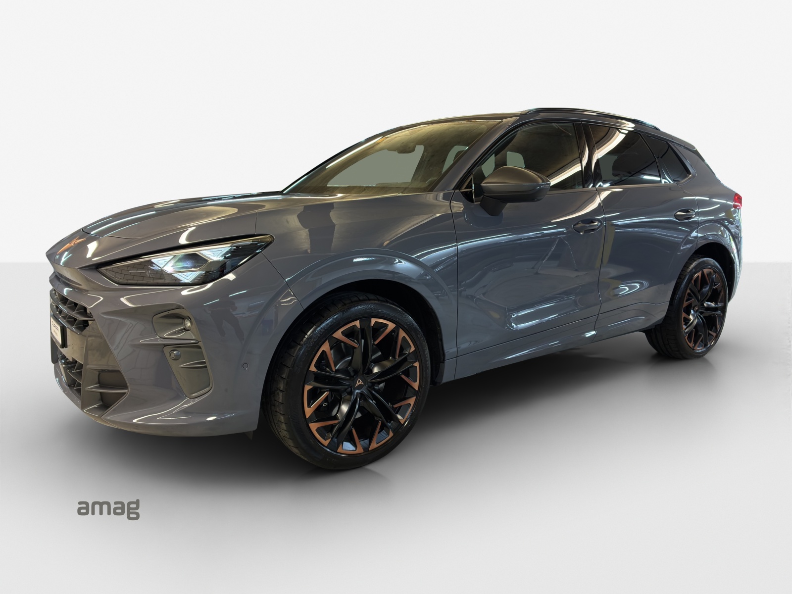 CUPRA Terramar 2.0 TSI DSG 4Drive Americas CUP-image-0