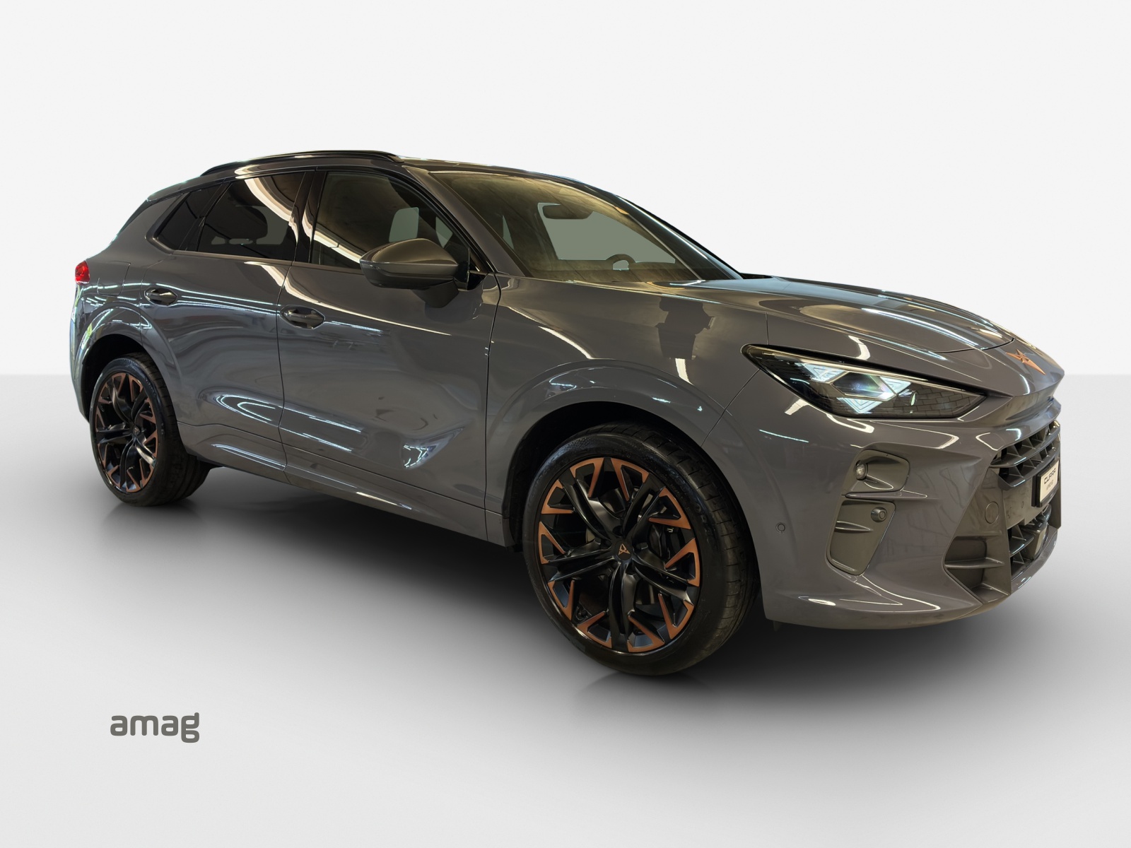 CUPRA Terramar 2.0 TSI DSG 4Drive Americas CUP-image-5