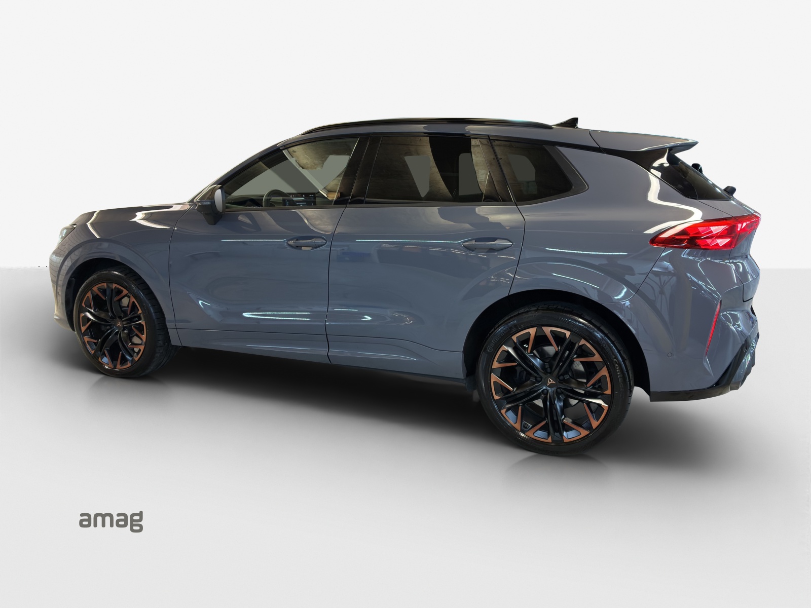 CUPRA Terramar 2.0 TSI DSG 4Drive Americas CUP-image-2