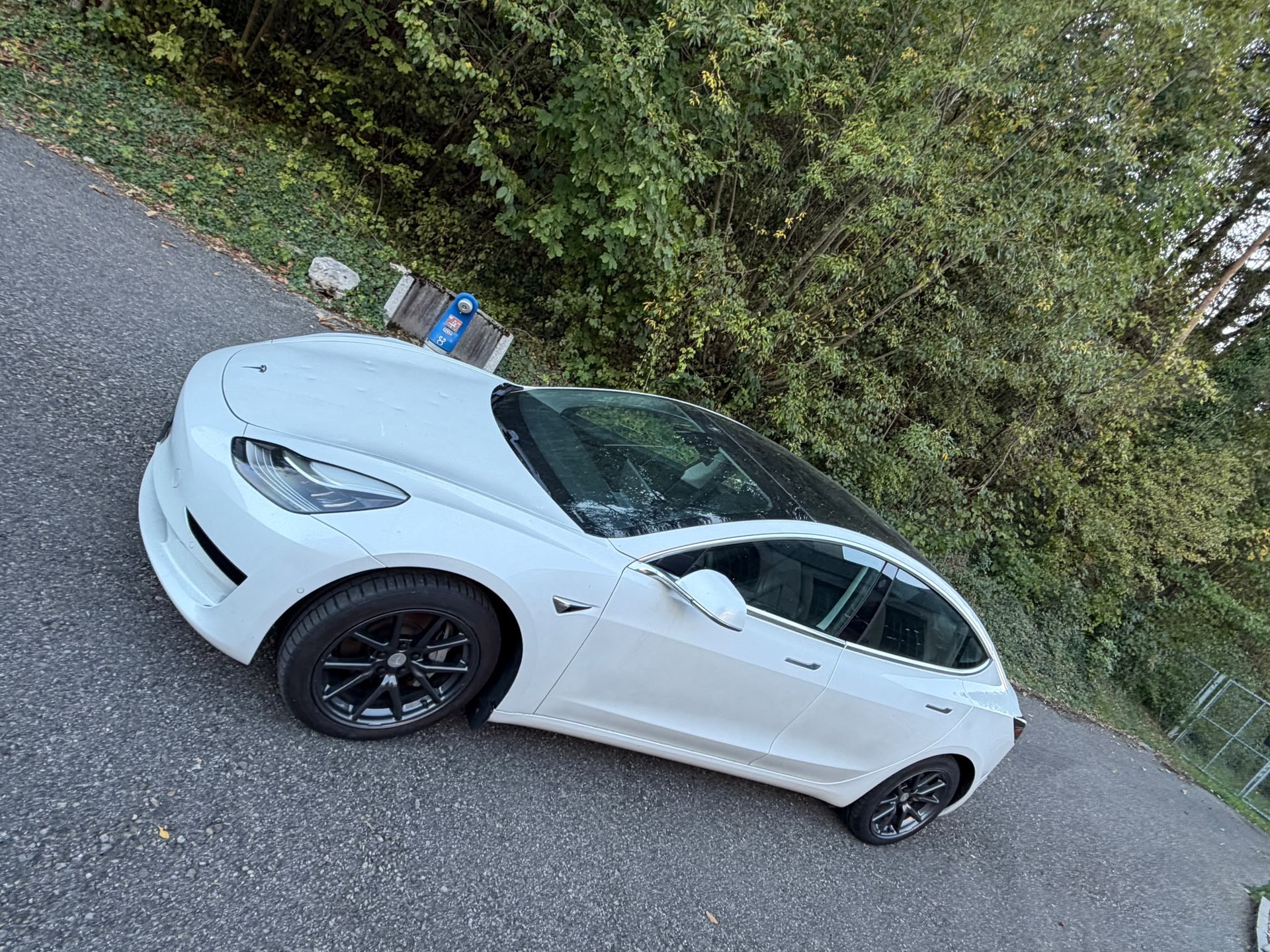 TESLA Model 3-image-5