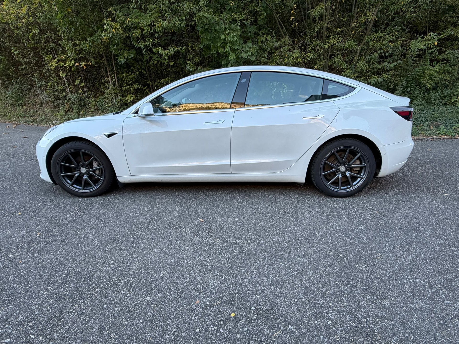 TESLA Model 3-image-10