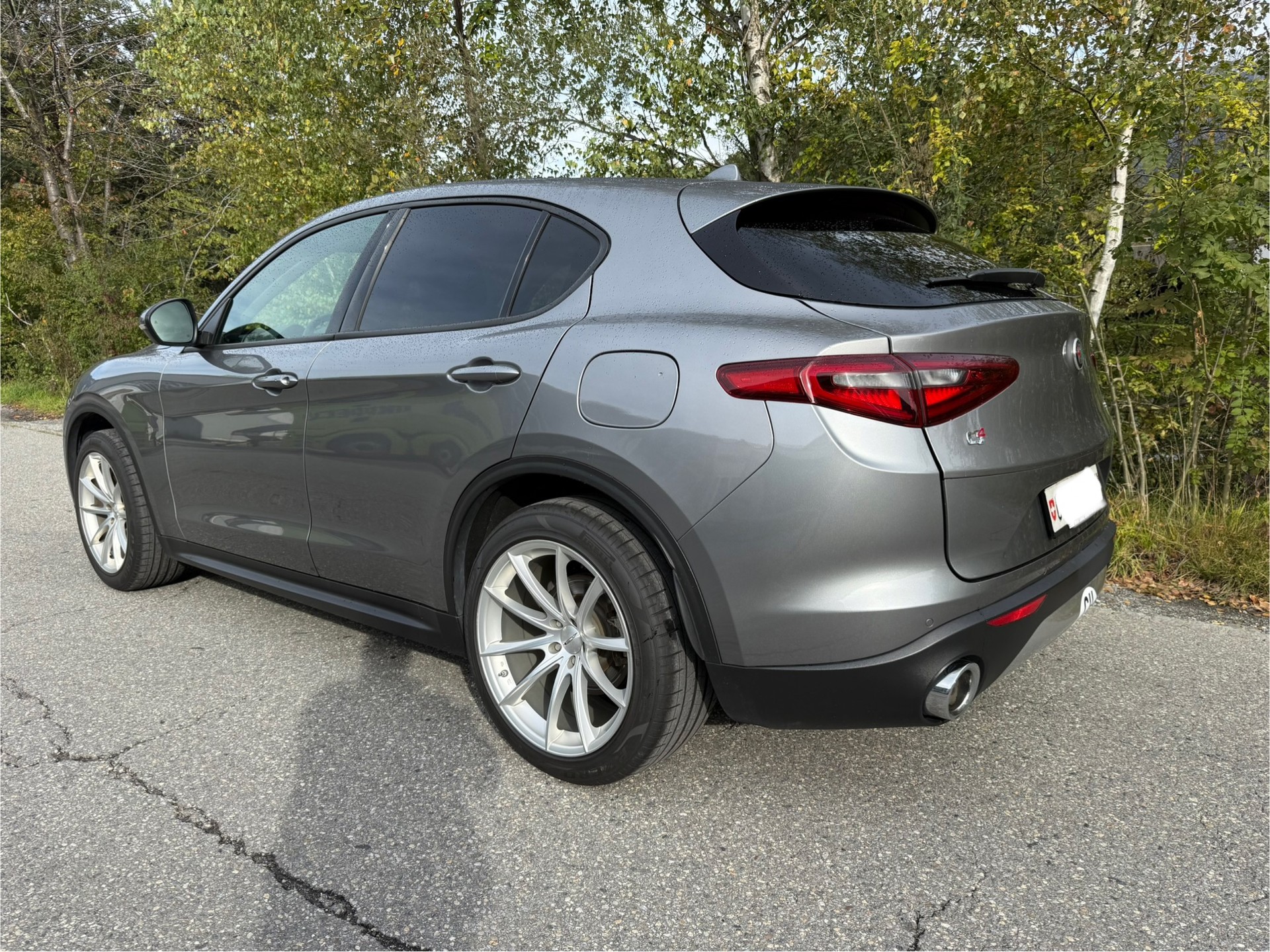 ALFA ROMEO Stelvio 2.0 TI Q4 Automatic-image-2