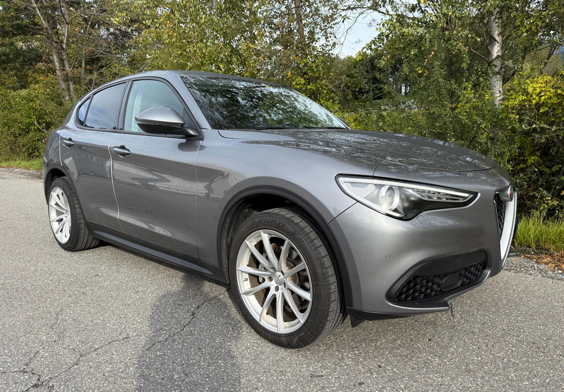 ALFA ROMEO Stelvio 2.0 TI Q4 Automatic-image-1