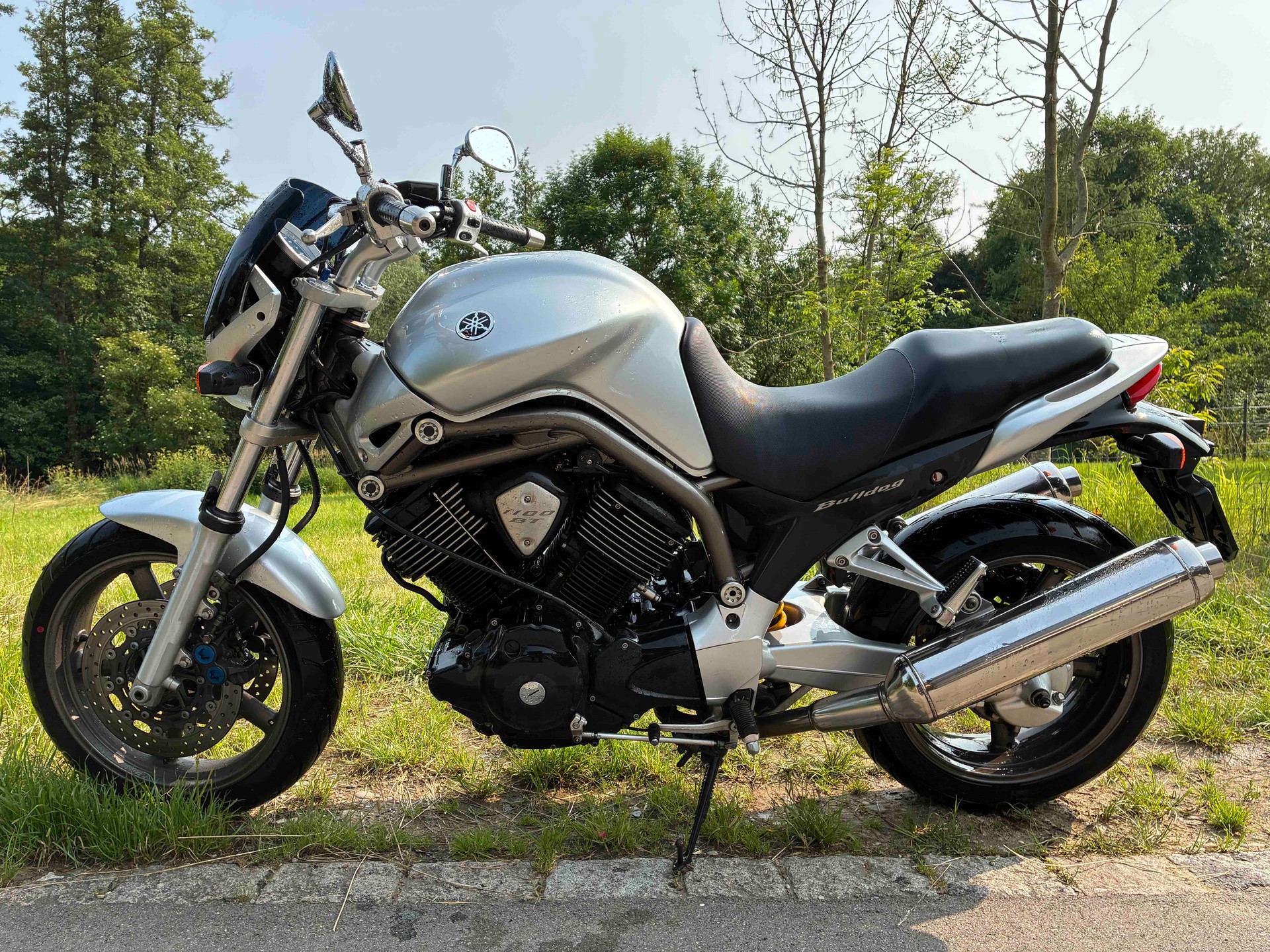 YAMAHA BT 1100 Bulldog-image-7