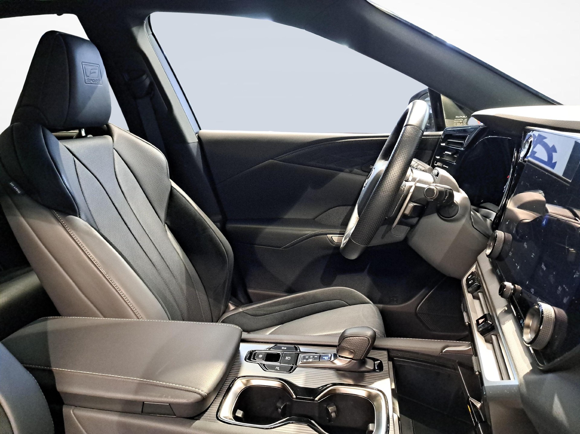 LEXUS RX 500h F-Sport-image-9