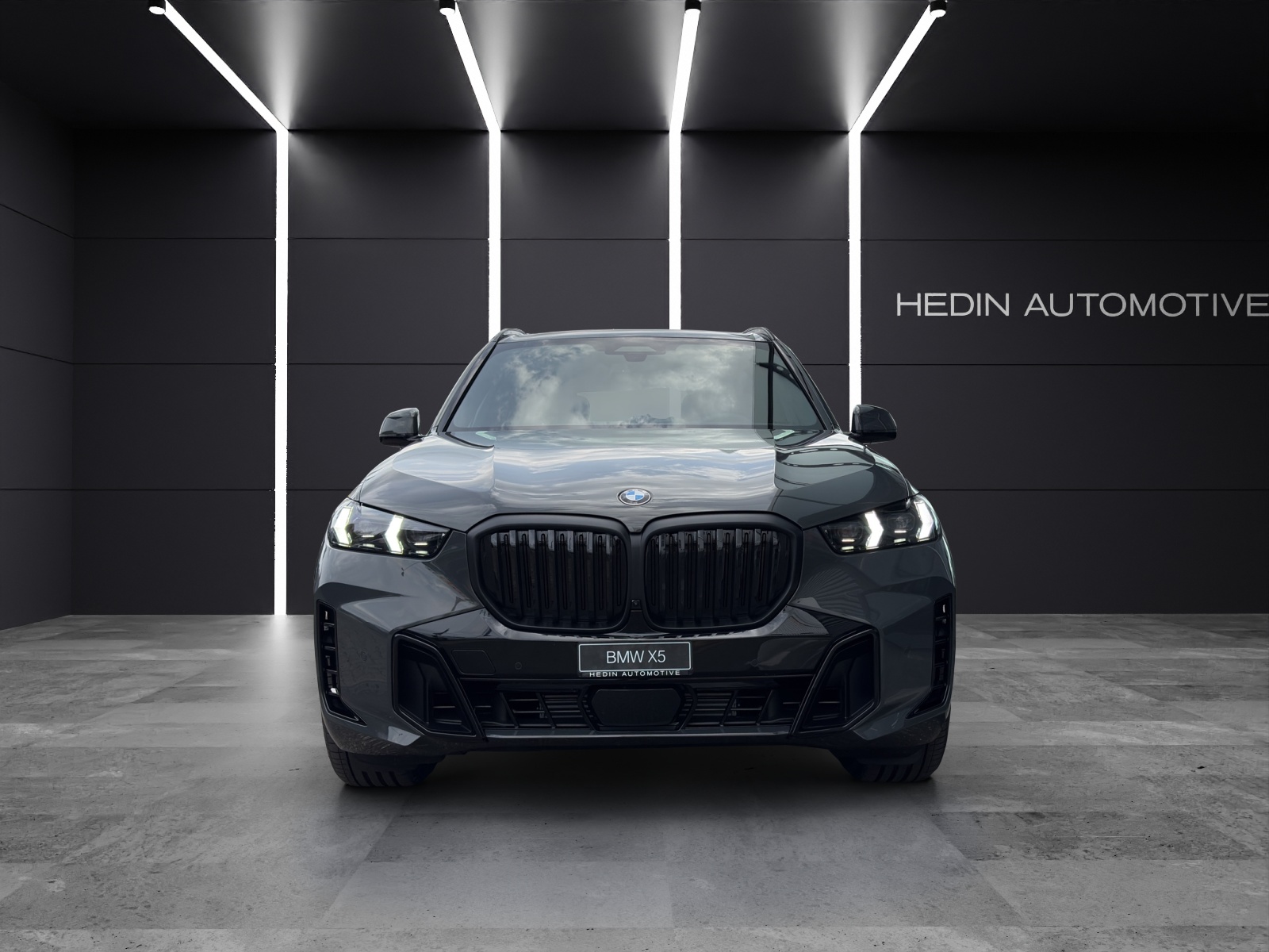 BMW X5 xDrive40d-image-6