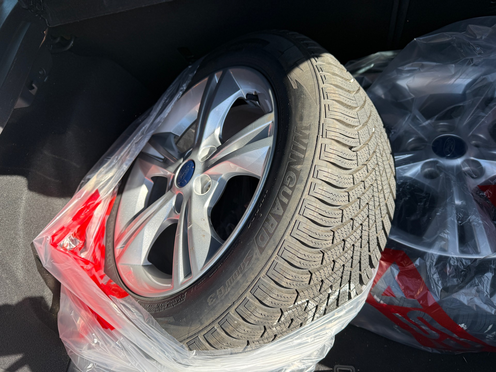 FORD Focus 1.0 SCTi Carving-image-7