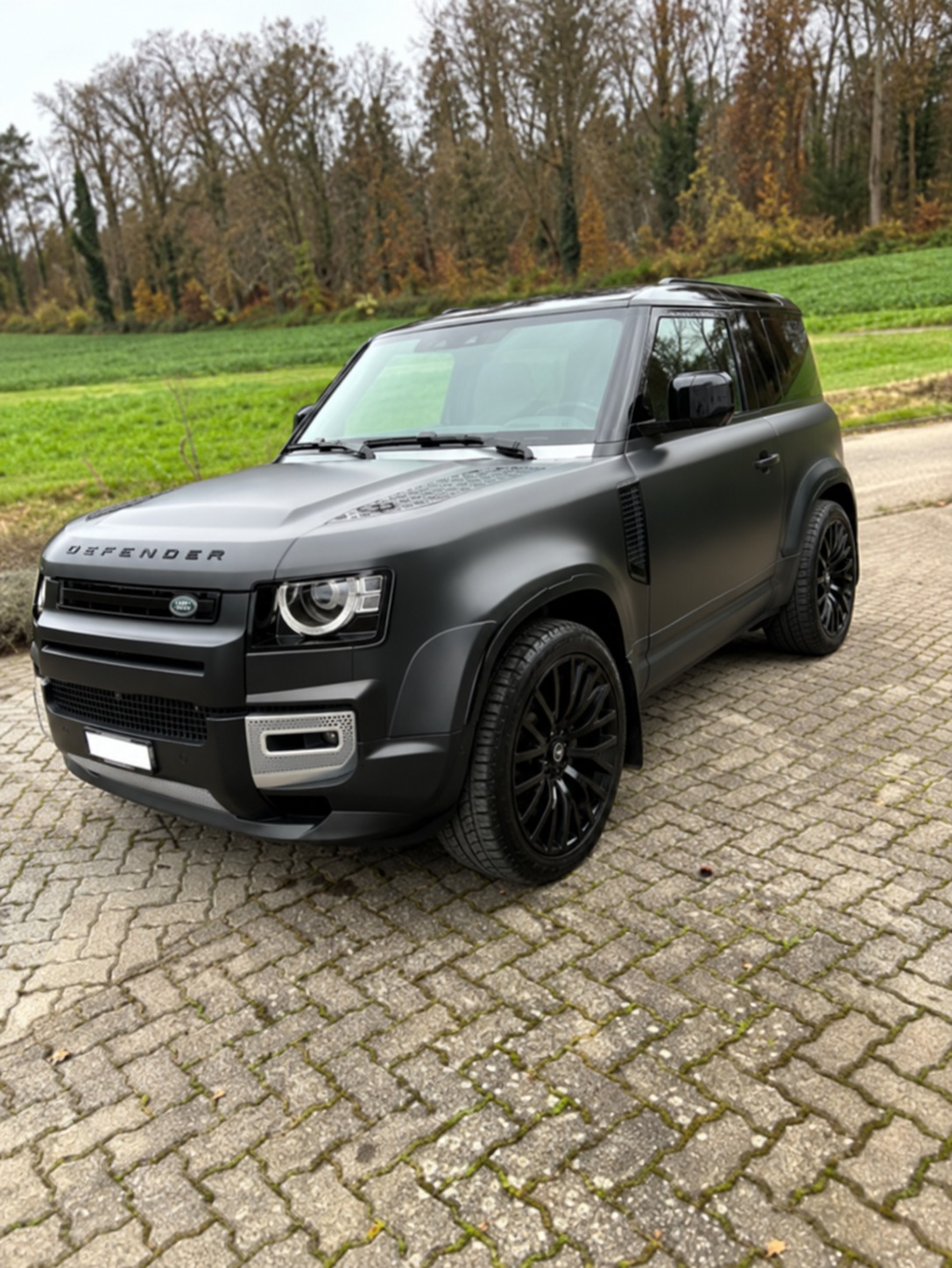 LAND ROVER 3.0 D I6 Dynamic S Hardtop "007"-image-0
