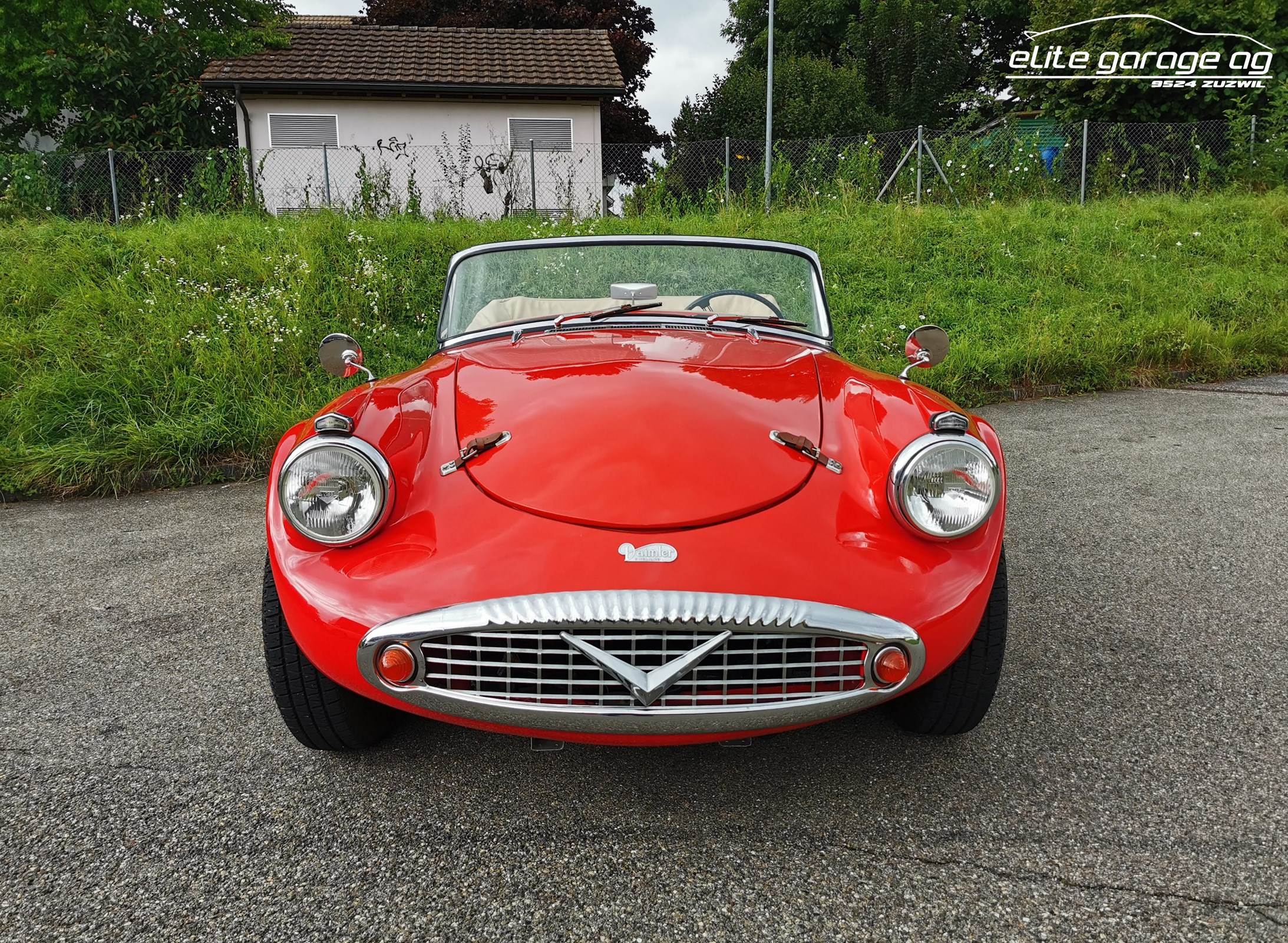 DAIMLER SP 250 V8 LHD Kaufen