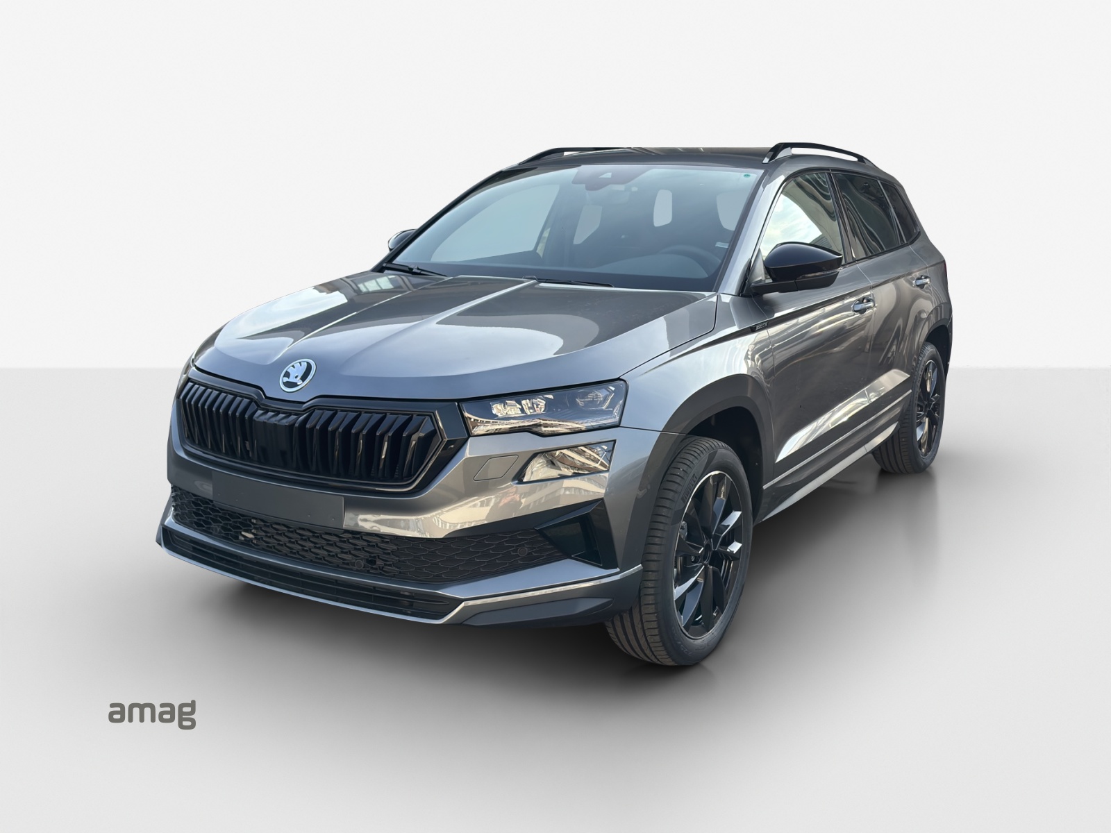 SKODA Karoq 2.0 TSI Dynamic Limited Edition 4x4 DSG