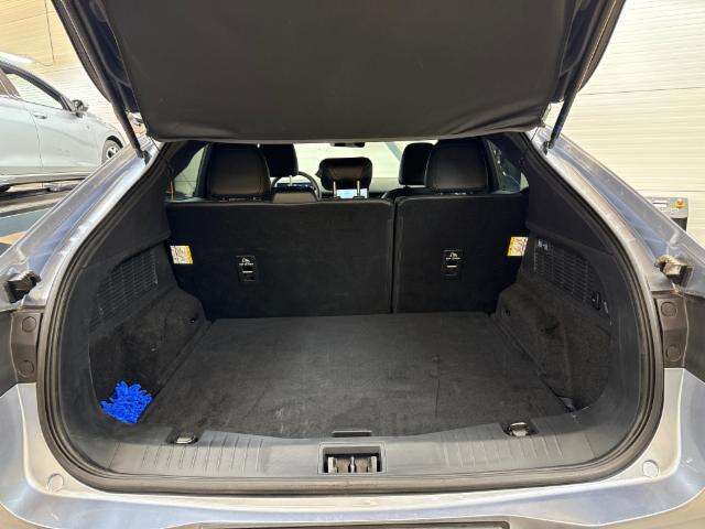 FORD Cool blue - starker Stromer - AWD - Standort Studen-image-8