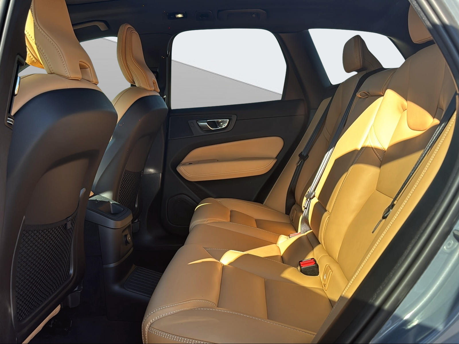 VOLVO XC60 2.0 T8 TE Ultimate Dark eAWD-image-13