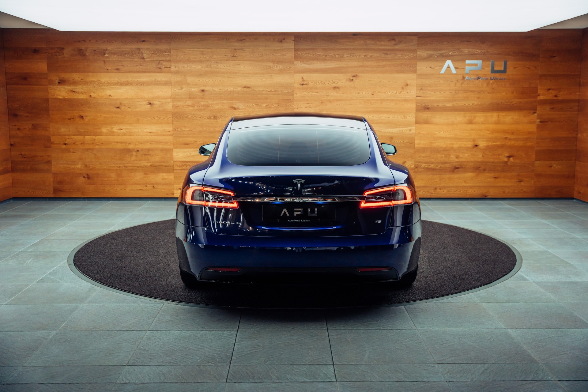 TESLA Model S 75 Business Economy-image-20