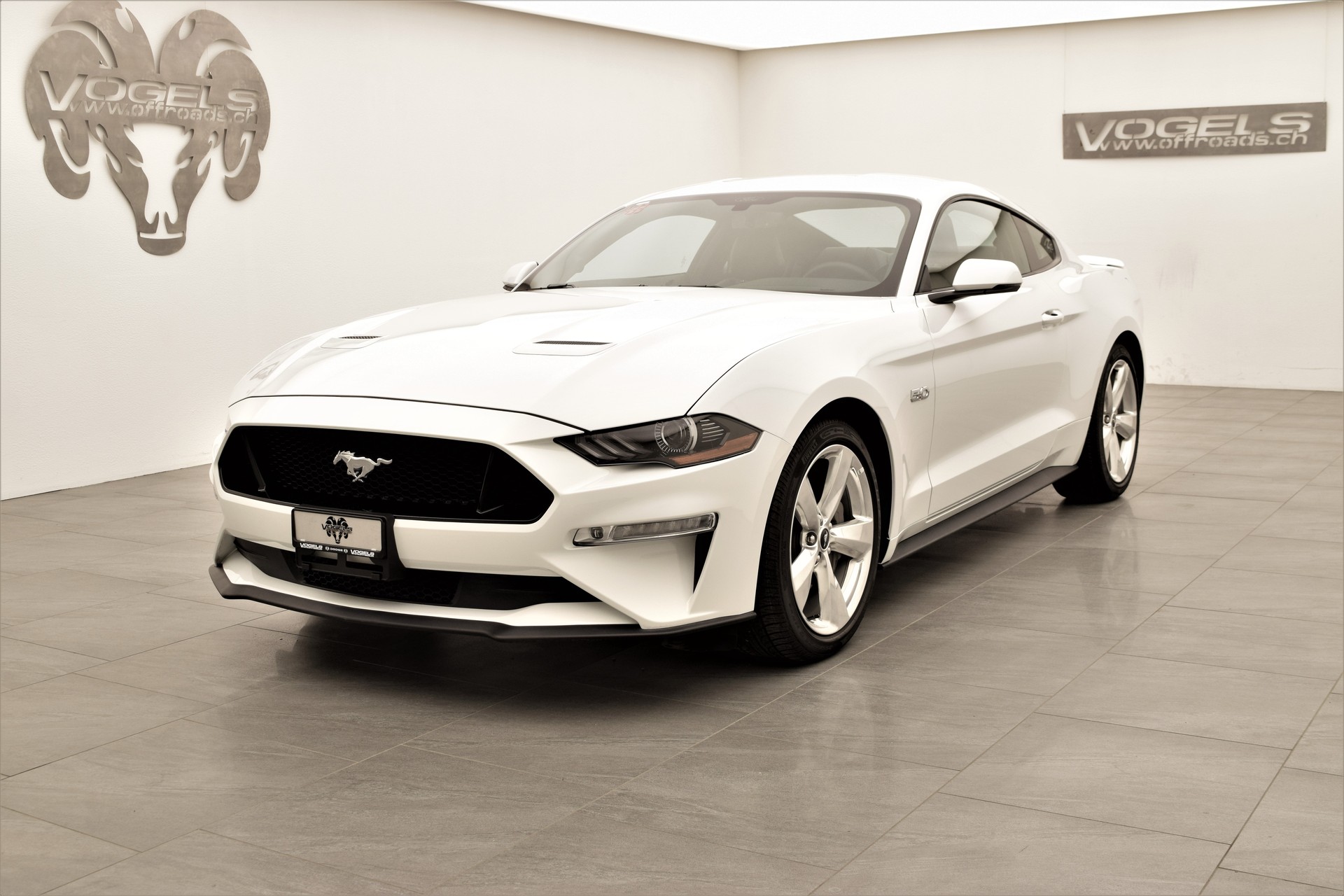 FORD Mustang 5.0 GT Fastback-image-2