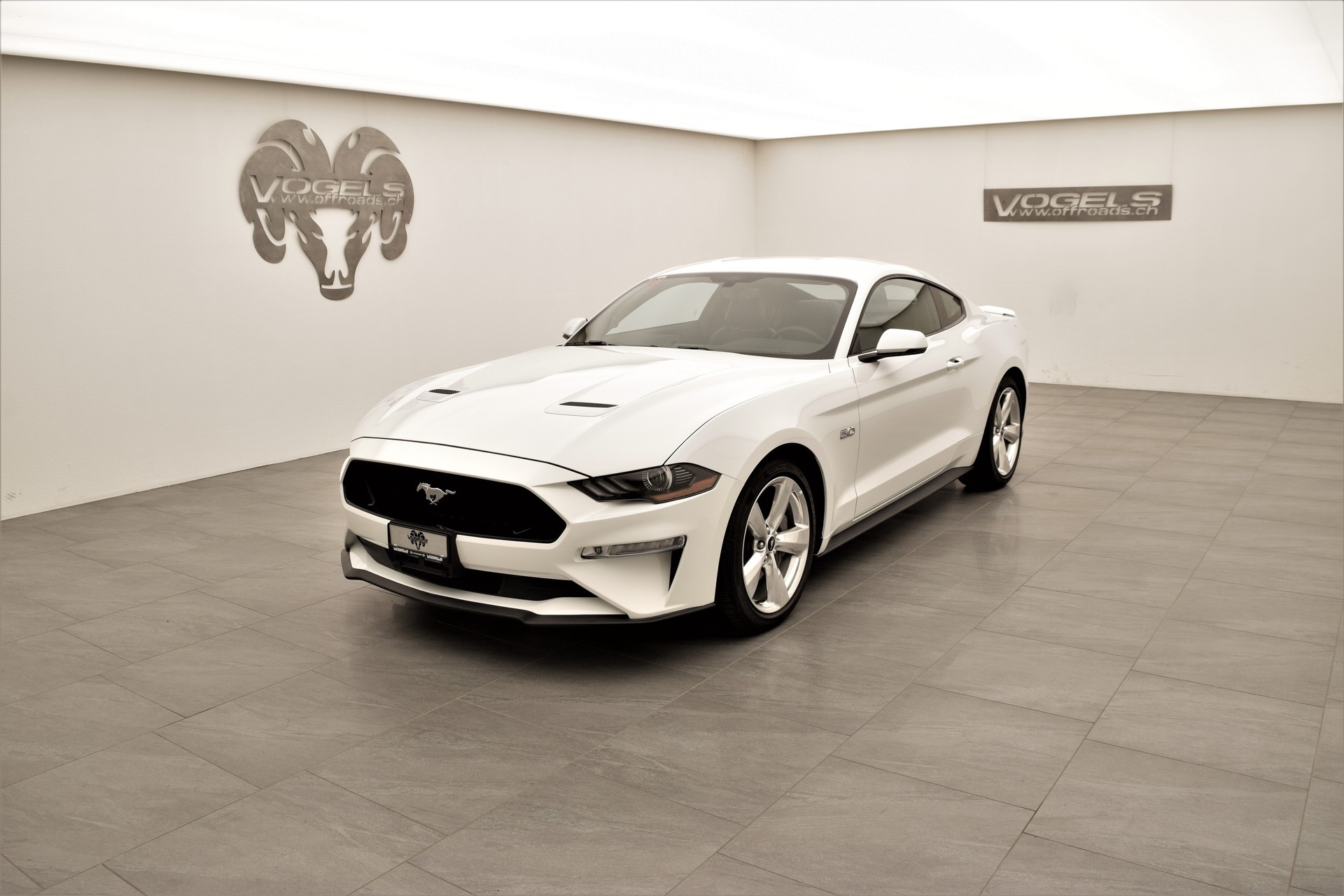 FORD Mustang 5.0 GT Fastback-image-0