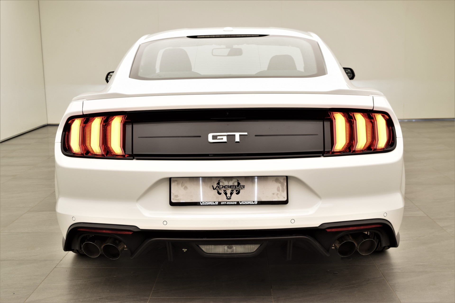 FORD Mustang 5.0 GT Fastback-image-6