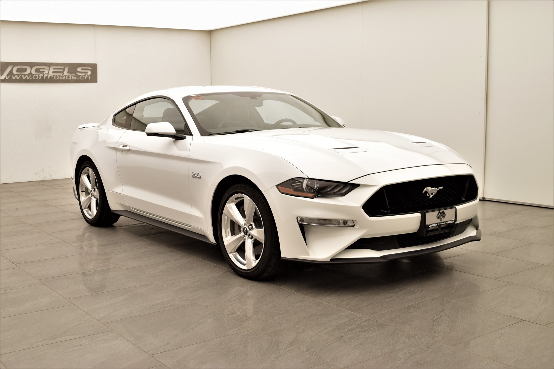 FORD Mustang 5.0 GT Fastback-image-4