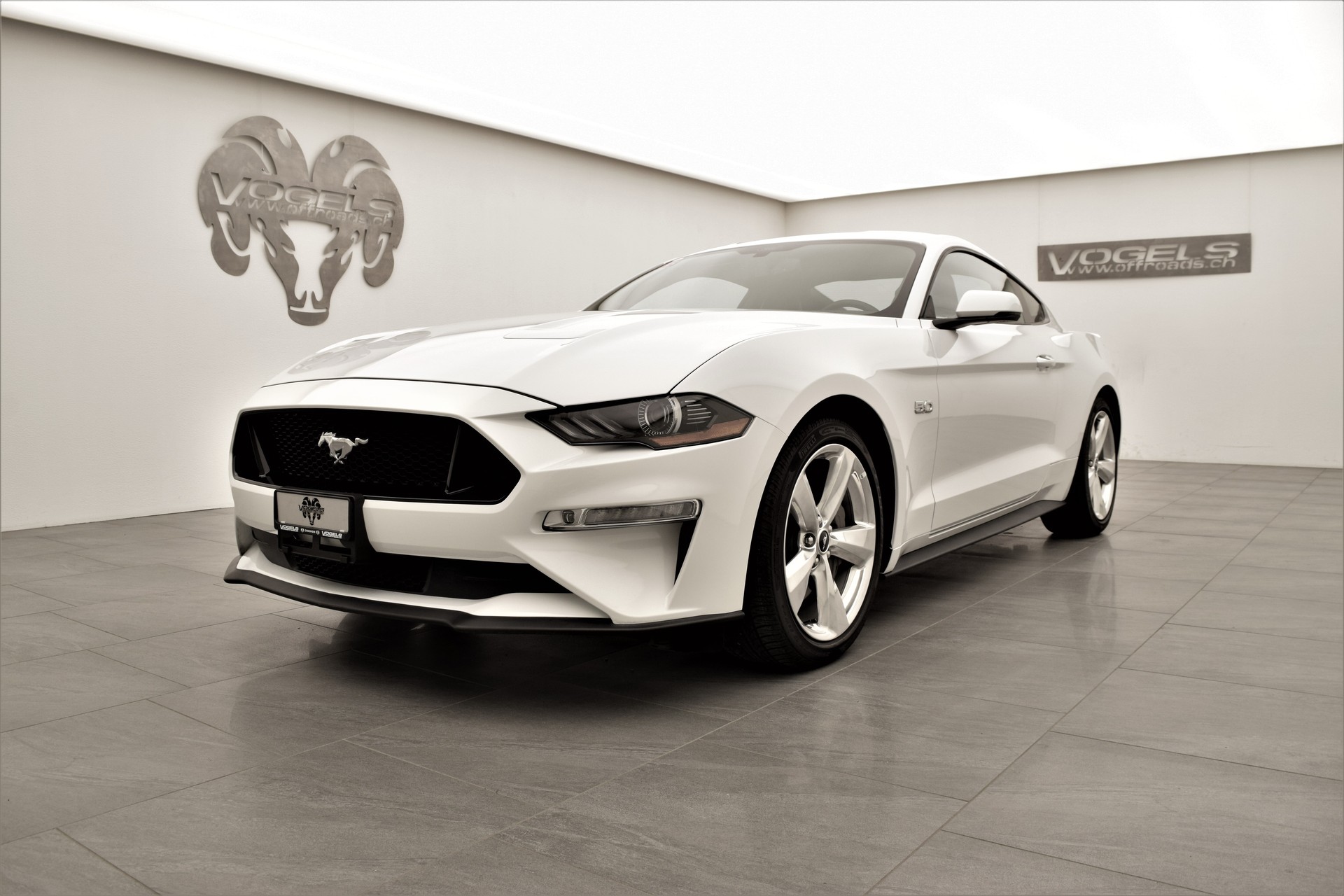 FORD Mustang 5.0 GT Fastback-image-1