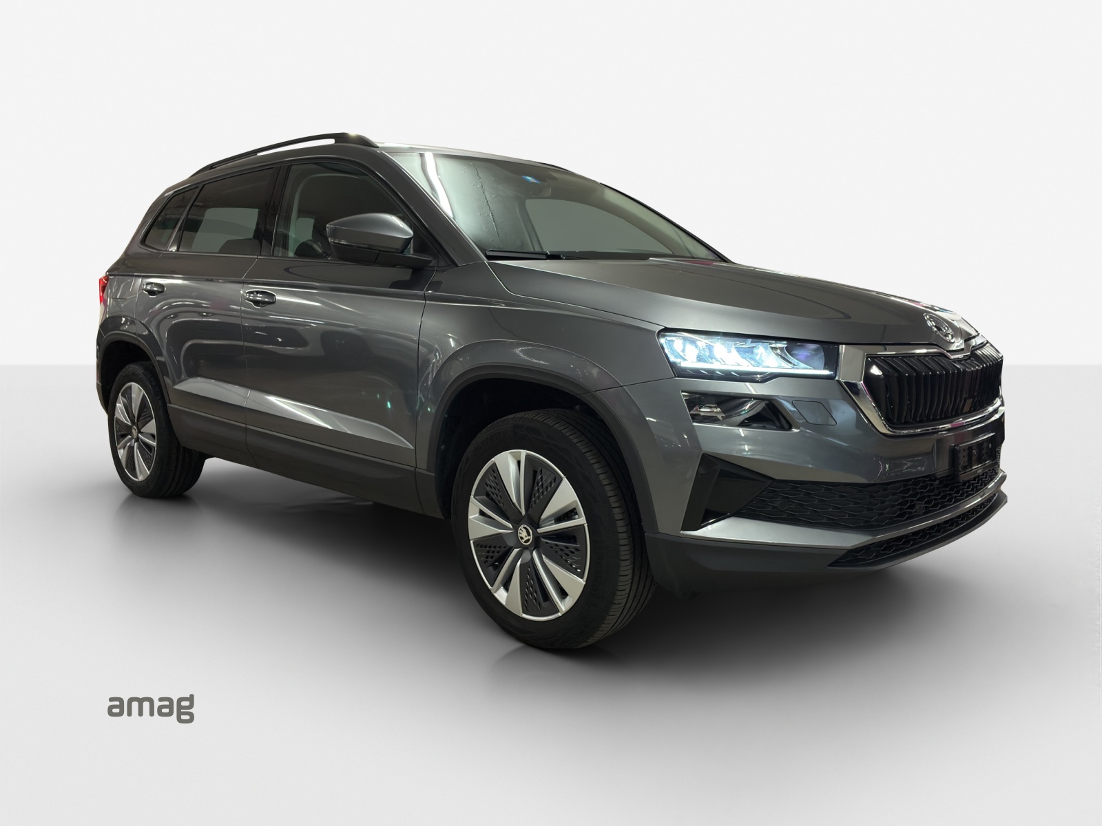 SKODA Karoq 1.5 TSI Ambition DSG-image-5