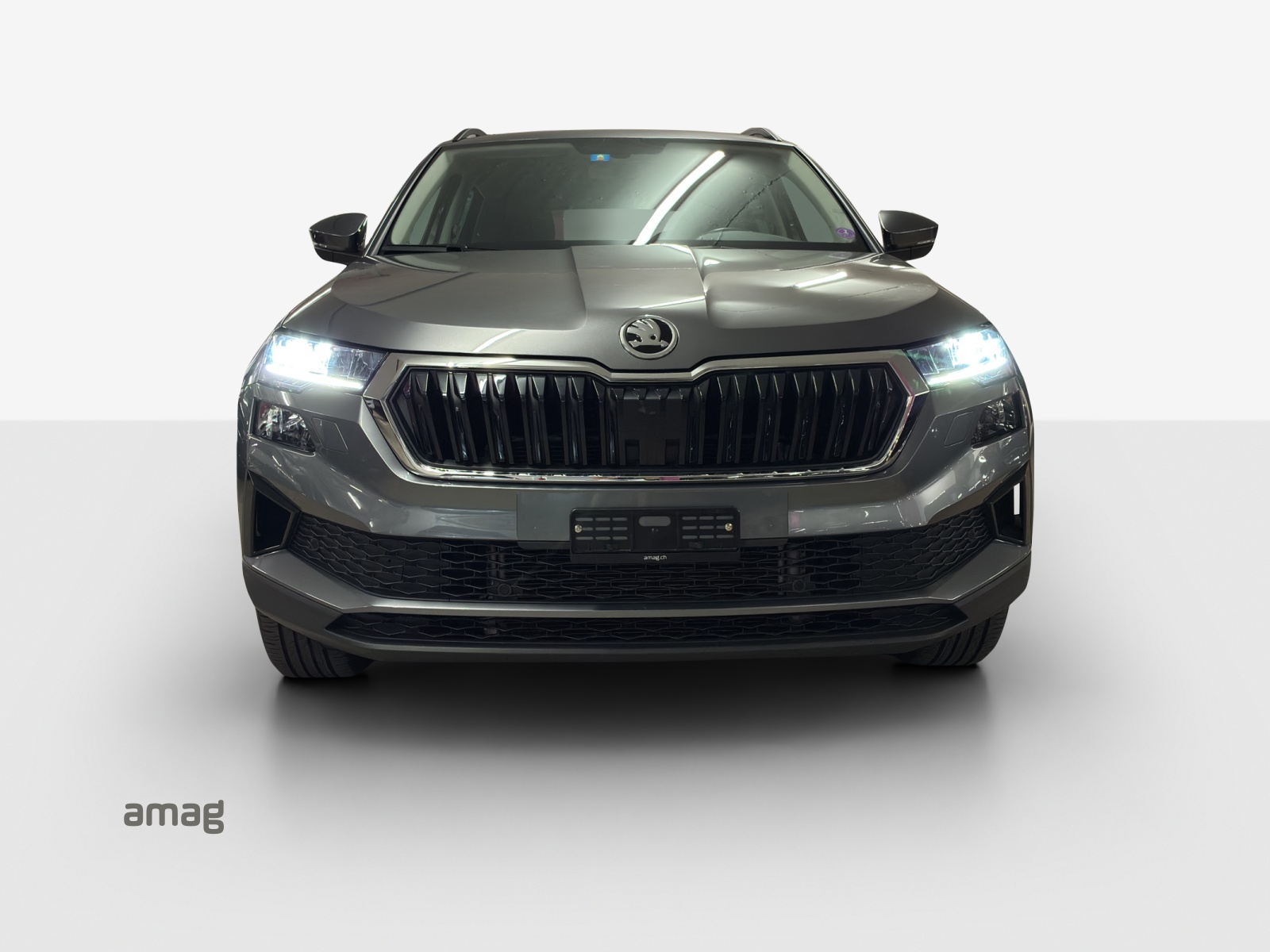 SKODA Karoq 1.5 TSI Ambition DSG-image-6