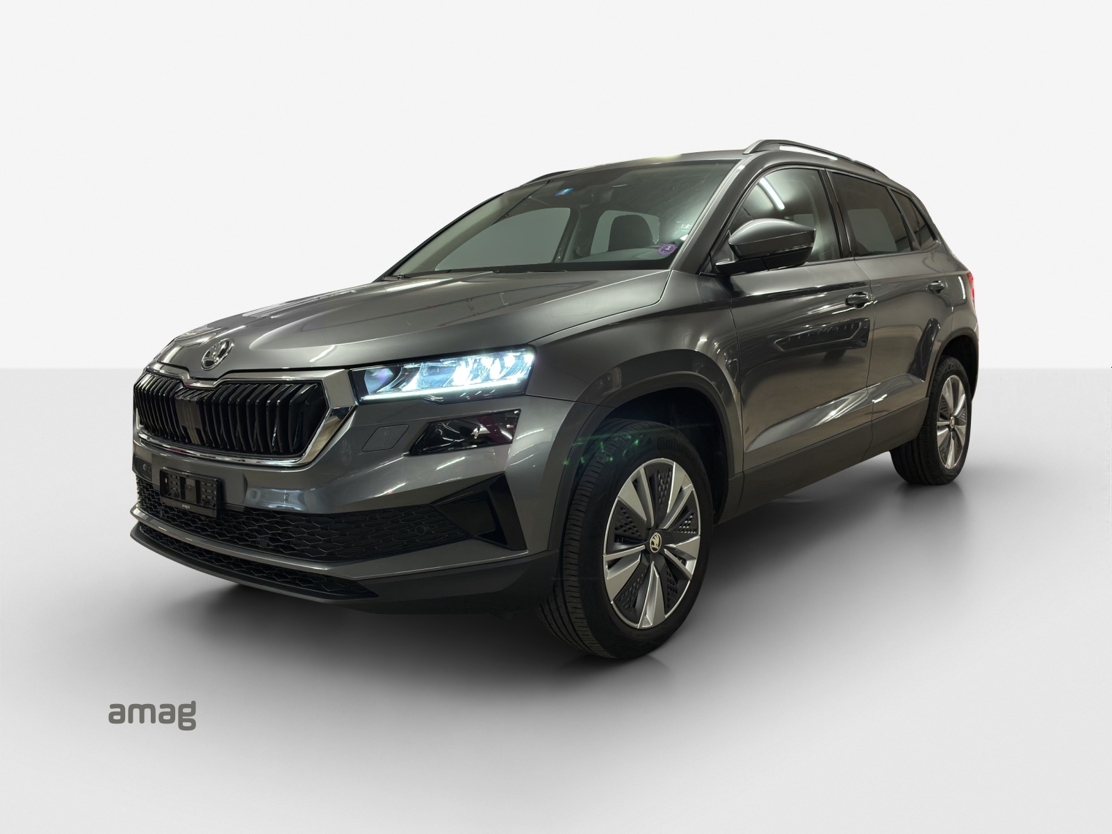SKODA Karoq 1.5 TSI Ambition DSG-image-0