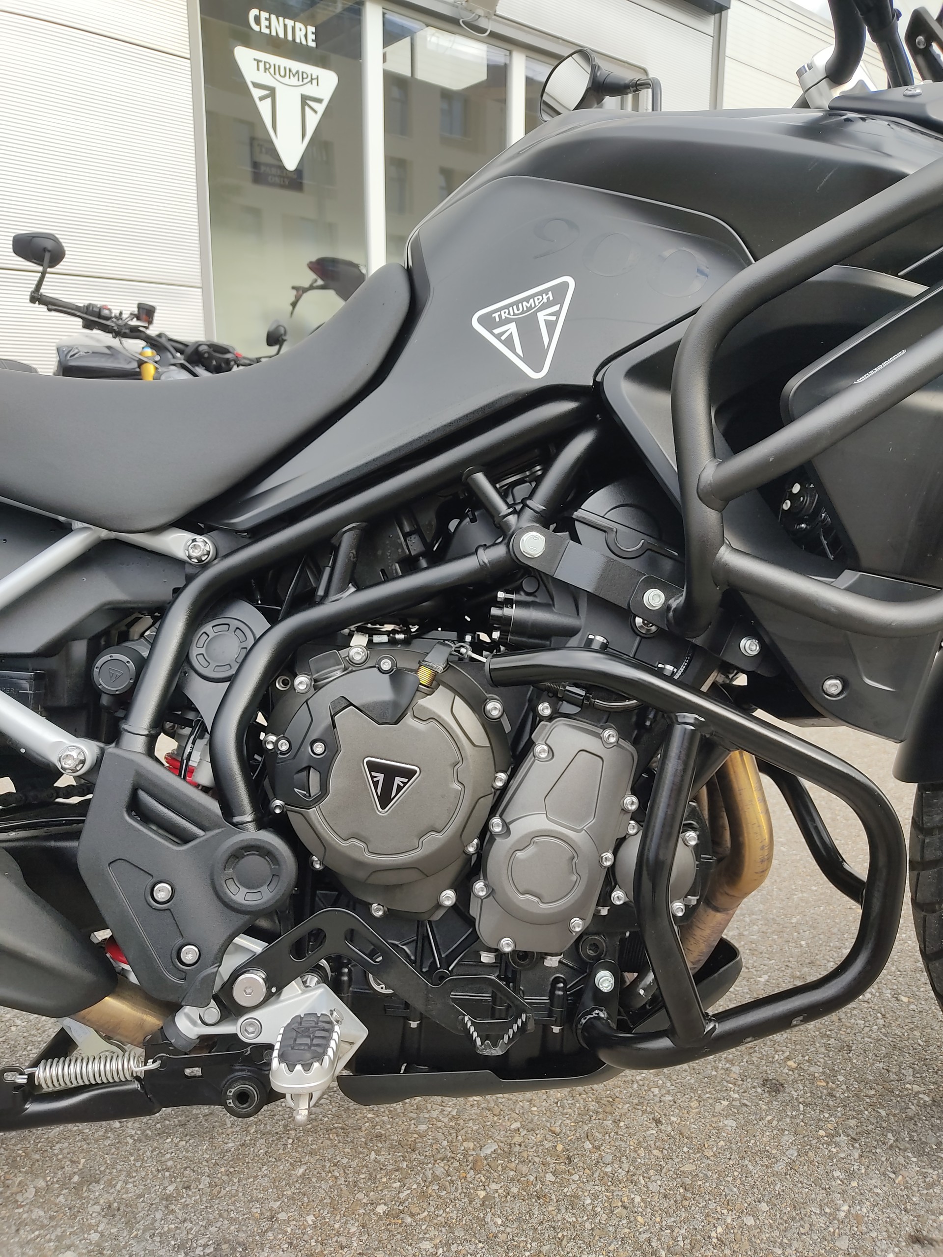 TRIUMPH Tiger 900 GT Pro-image-6