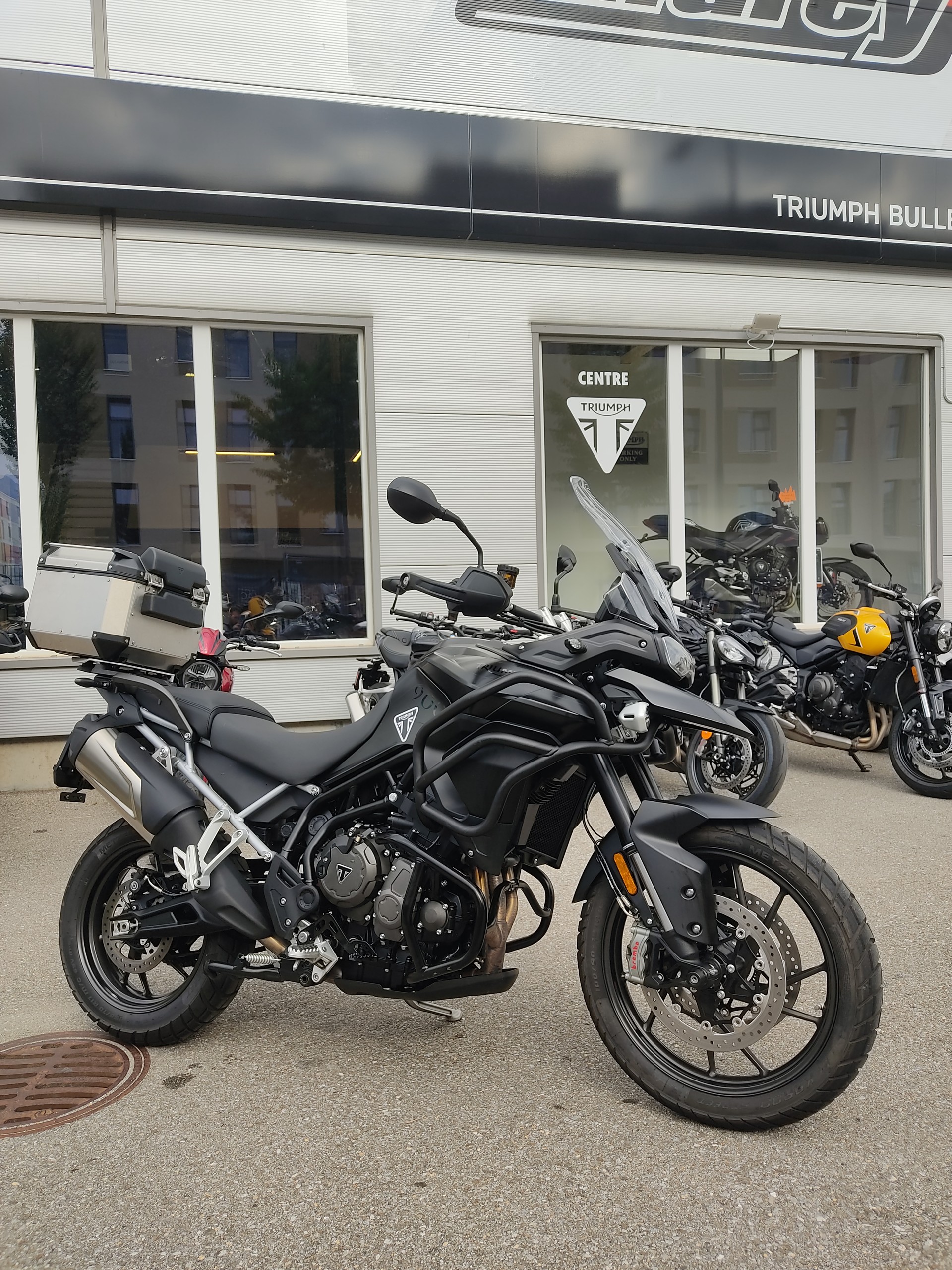 TRIUMPH Tiger 900 GT Pro