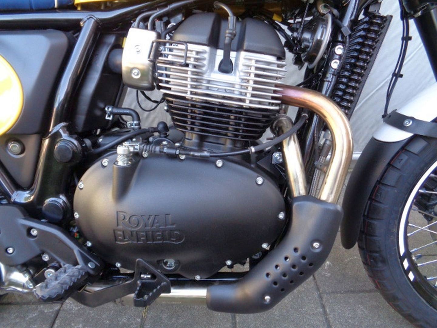 ROYAL ENFIELD BEAR 650-image-8