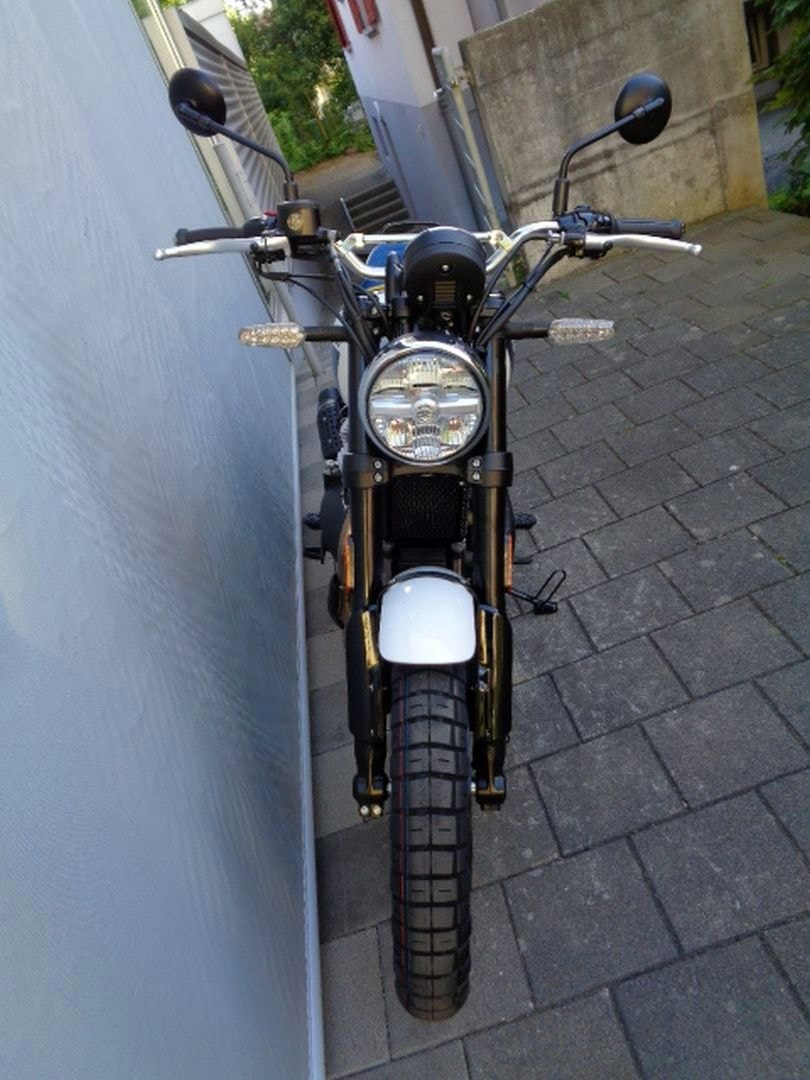 ROYAL ENFIELD BEAR 650-showroom-element-2
