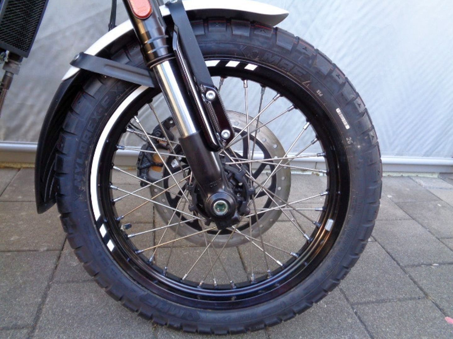 ROYAL ENFIELD BEAR 650-image-9