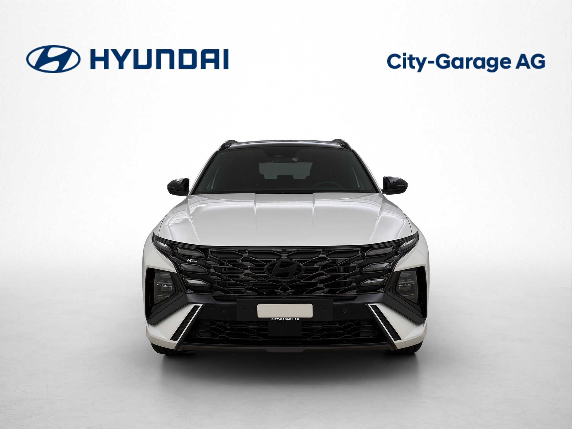 HYUNDAI Tucson 1.6 T-GDi HEV N-Line 4WD Sunroof-image-1