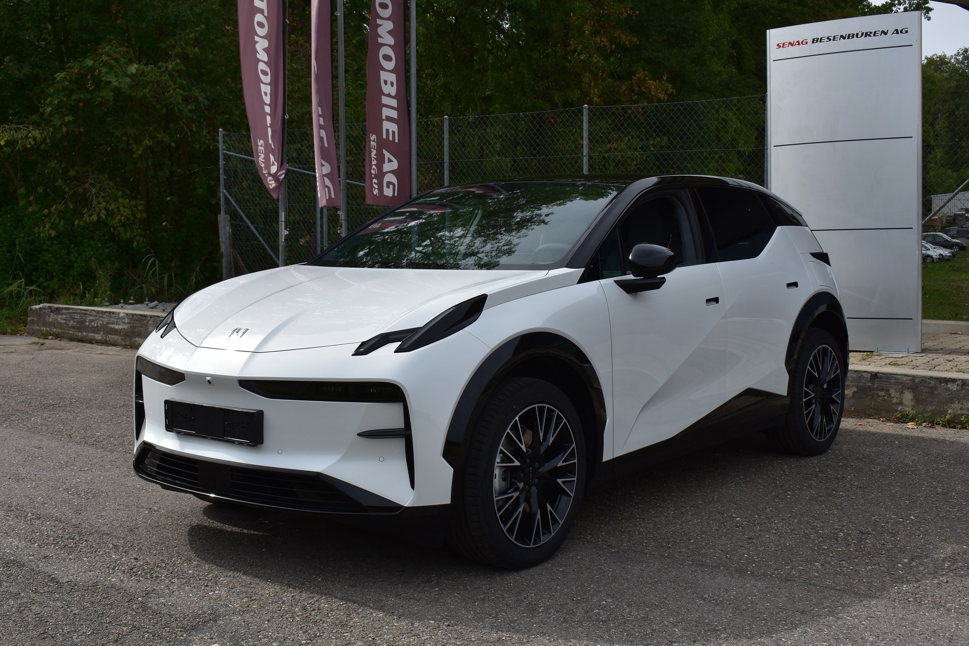 ZEEKR X 69kWh Privilege AWD-image-1