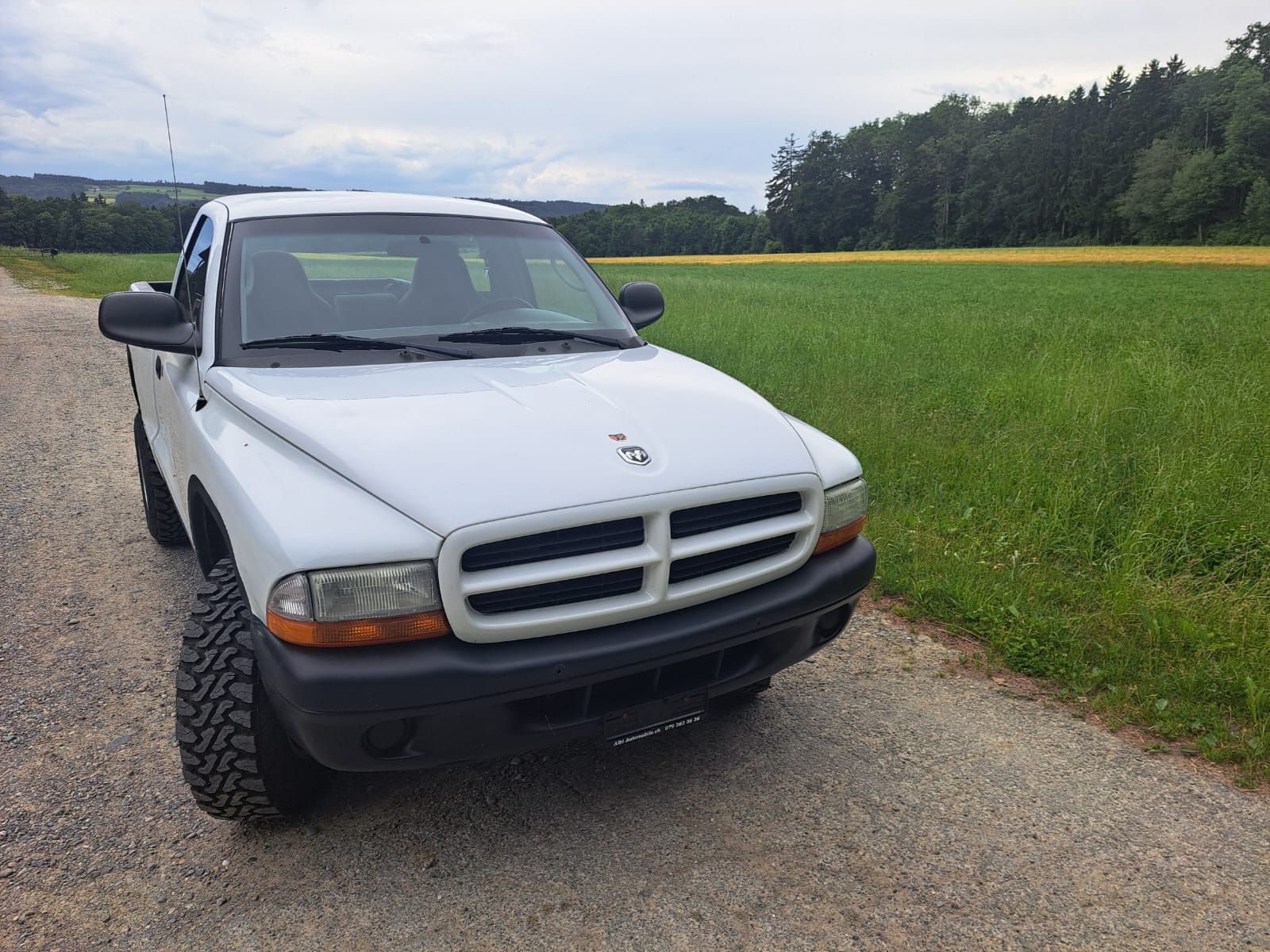 DODGE Dakota-image-0