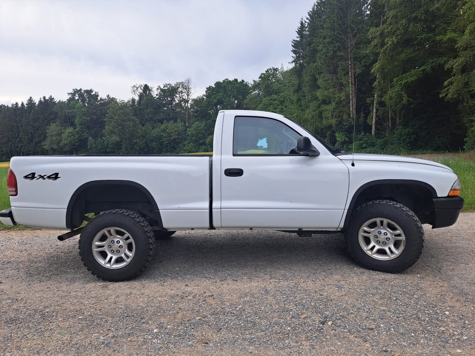 DODGE Dakota-image-2
