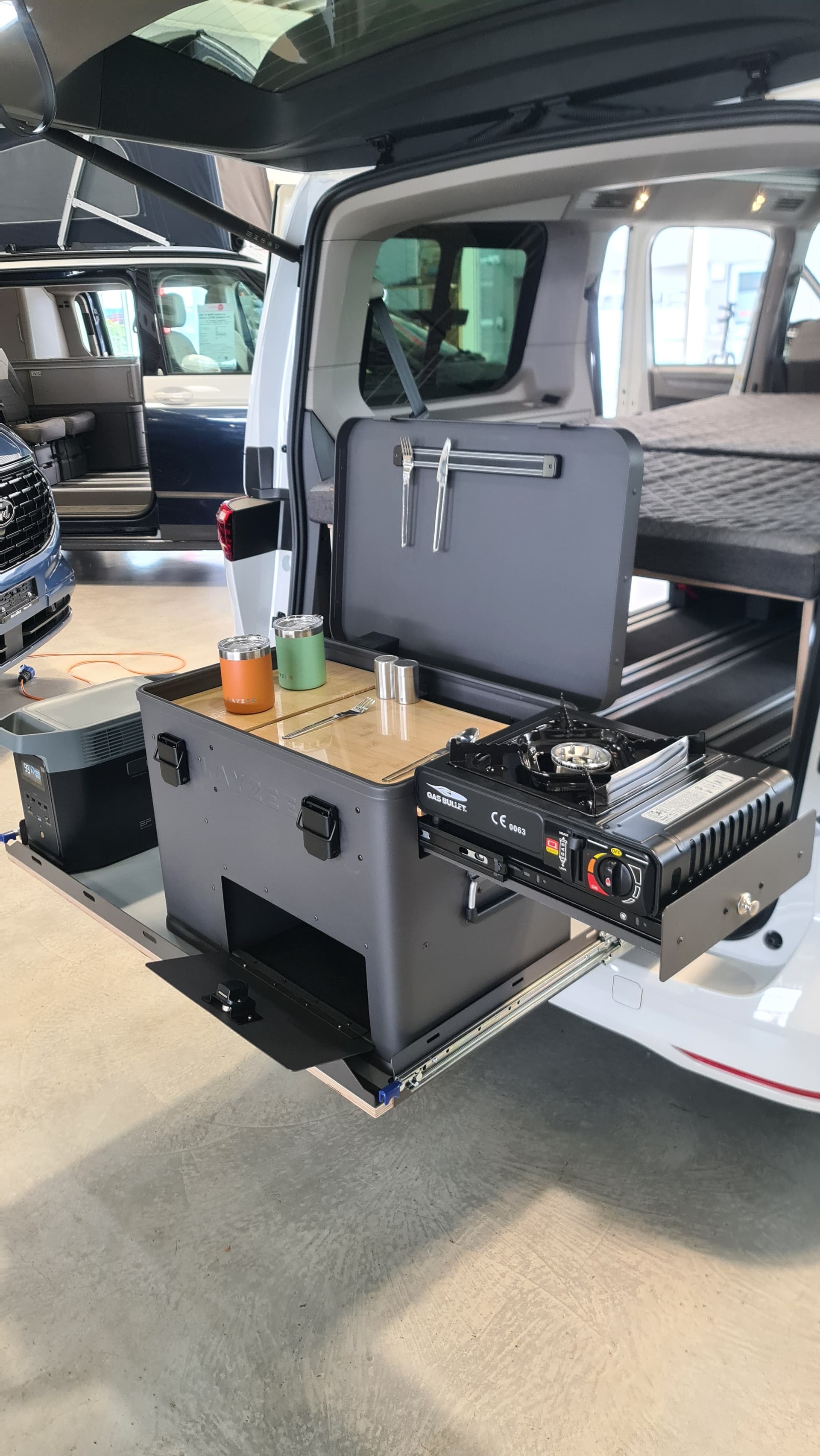 VW California eHybrid Beach 4Motion-image-22