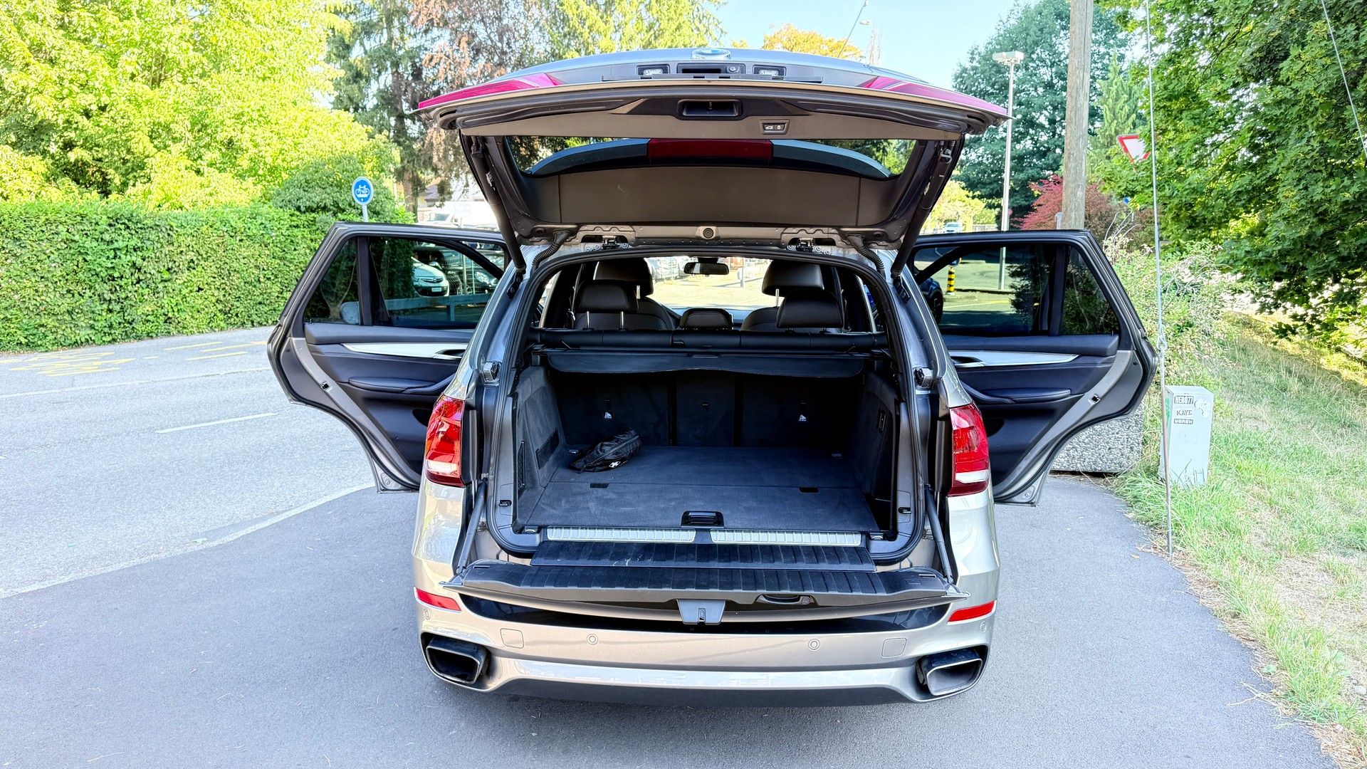 BMW X5 xDrive 40e iPerformance Pure M Sport Steptronic-image-6