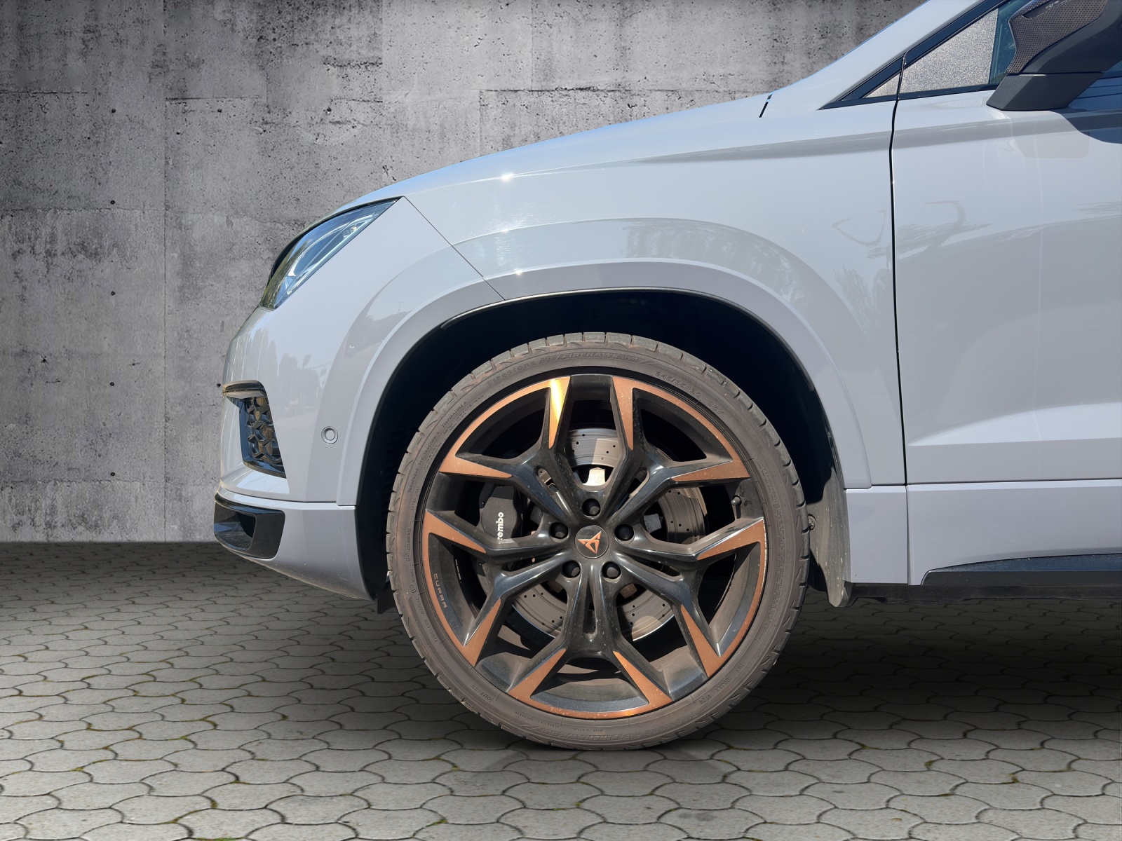CUPRA Ateca 2.0TSI 4Drive DSG-image-15