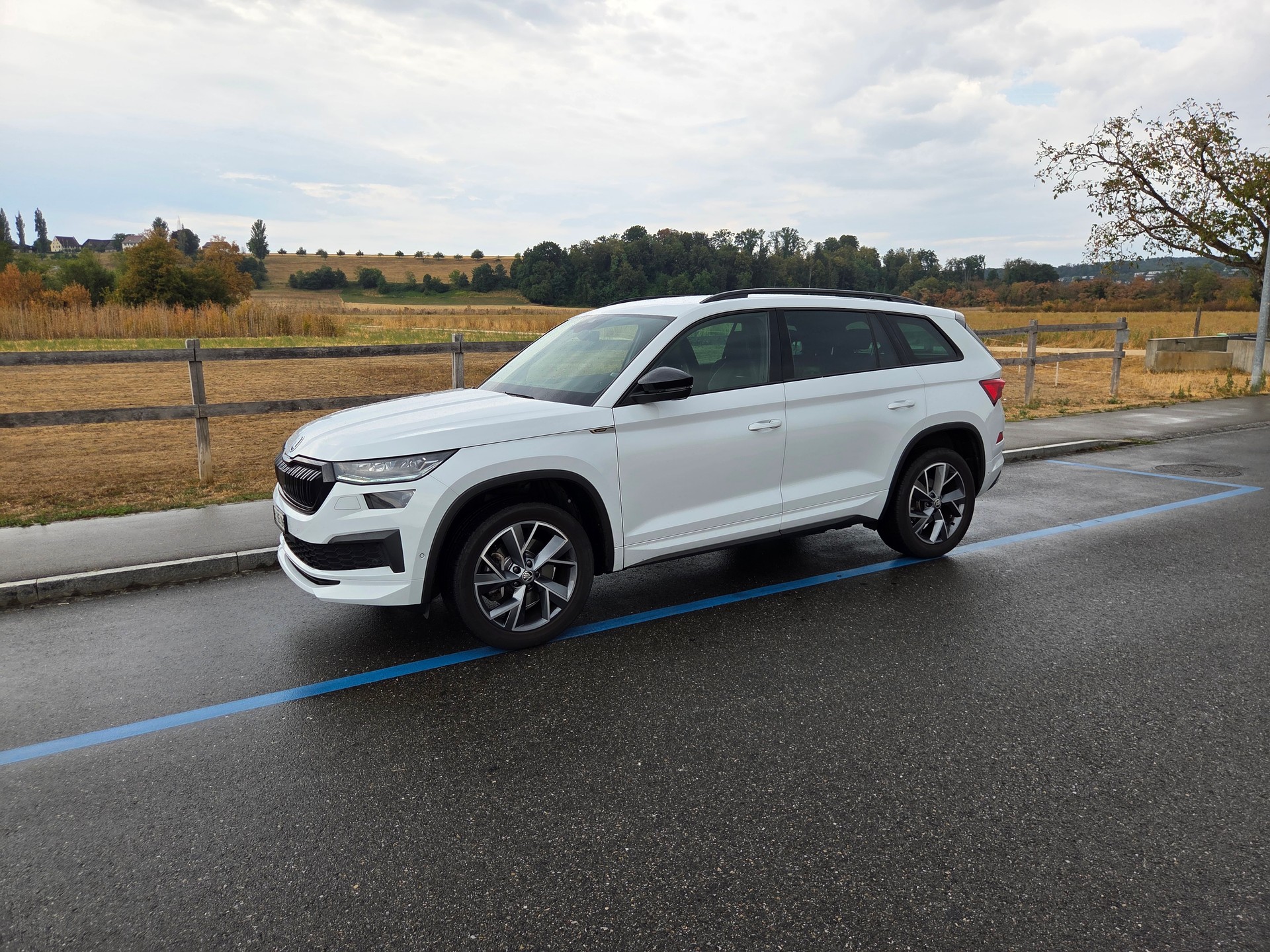 SKODA 2.0 TSI Sportline DSG-image-0