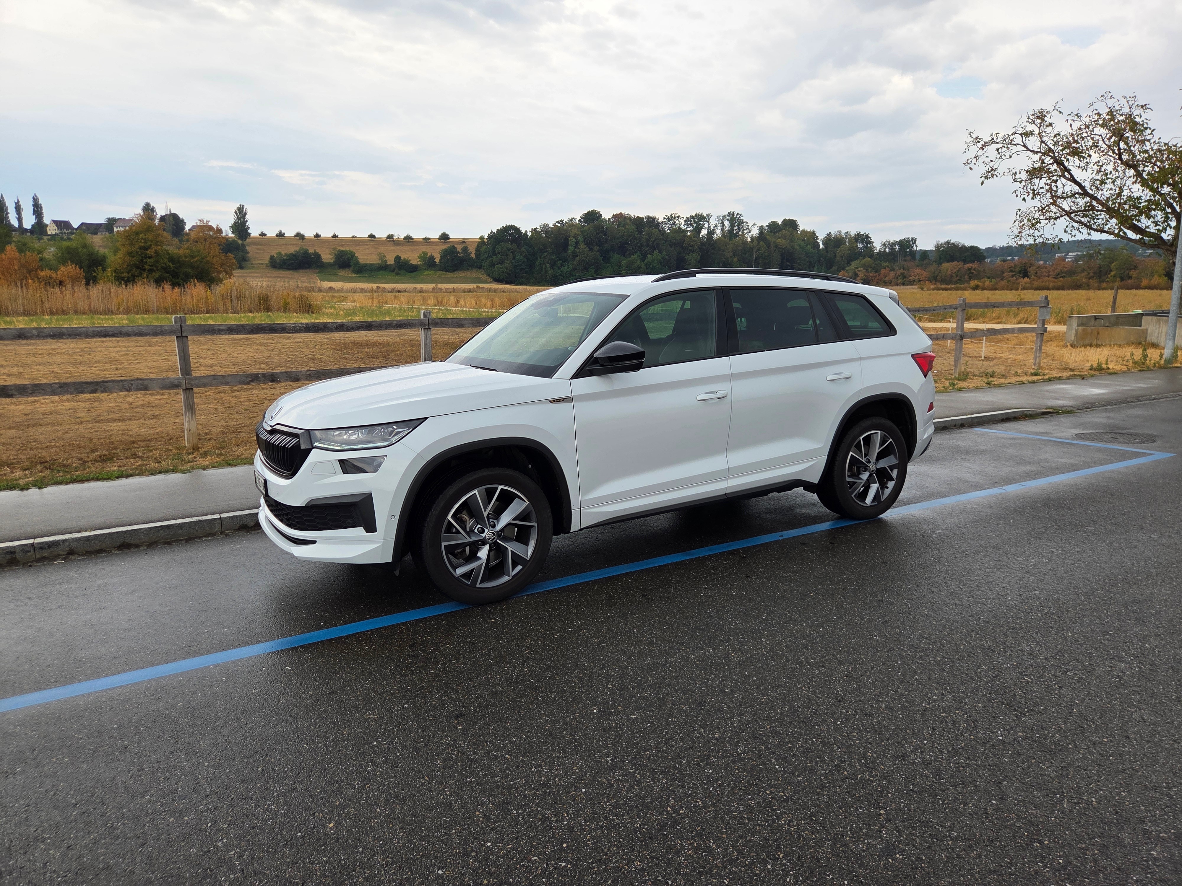 SKODA KODIAQ 2.0 TSI Sportline DSG — slika 1