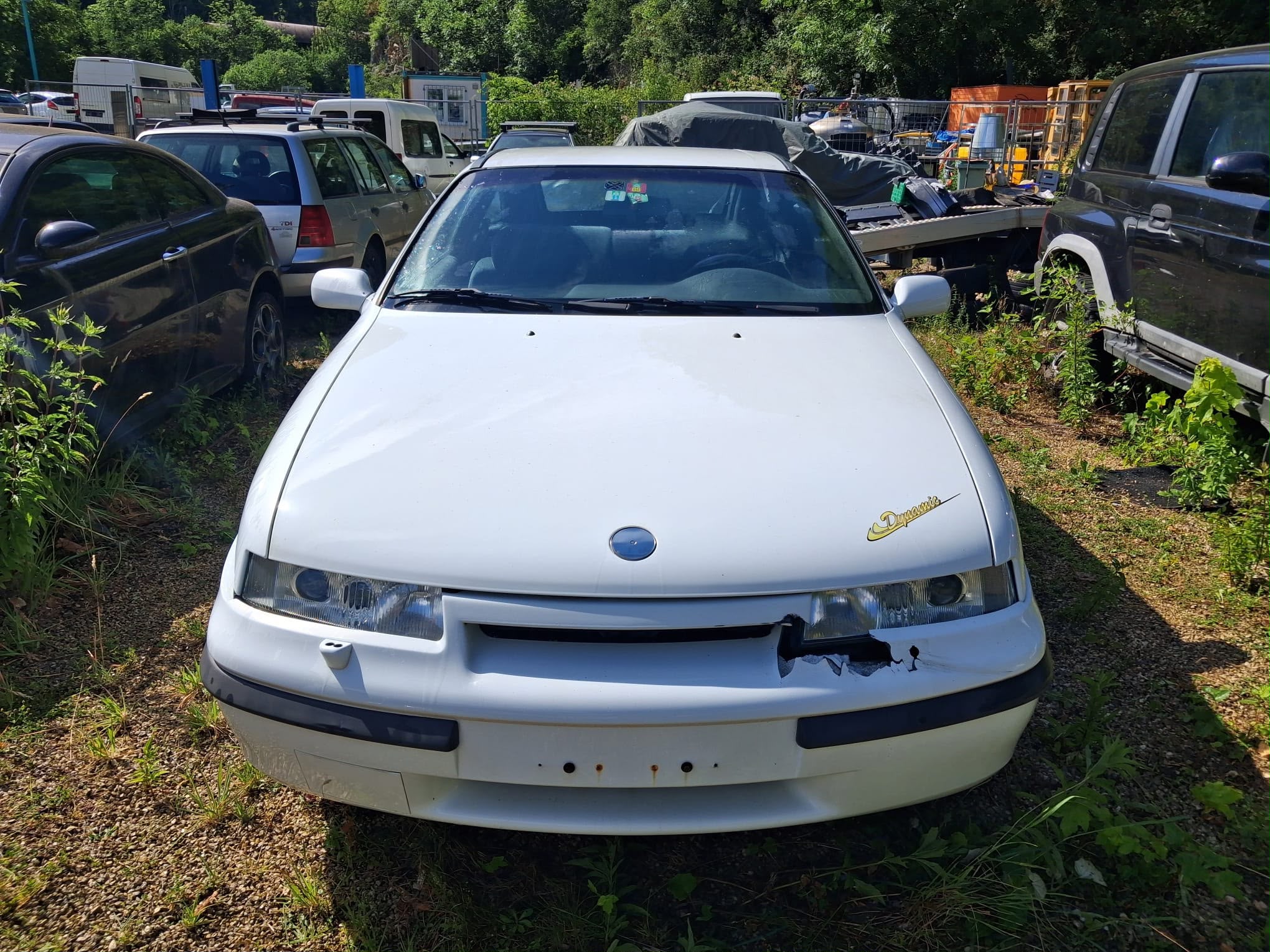 Car photo
